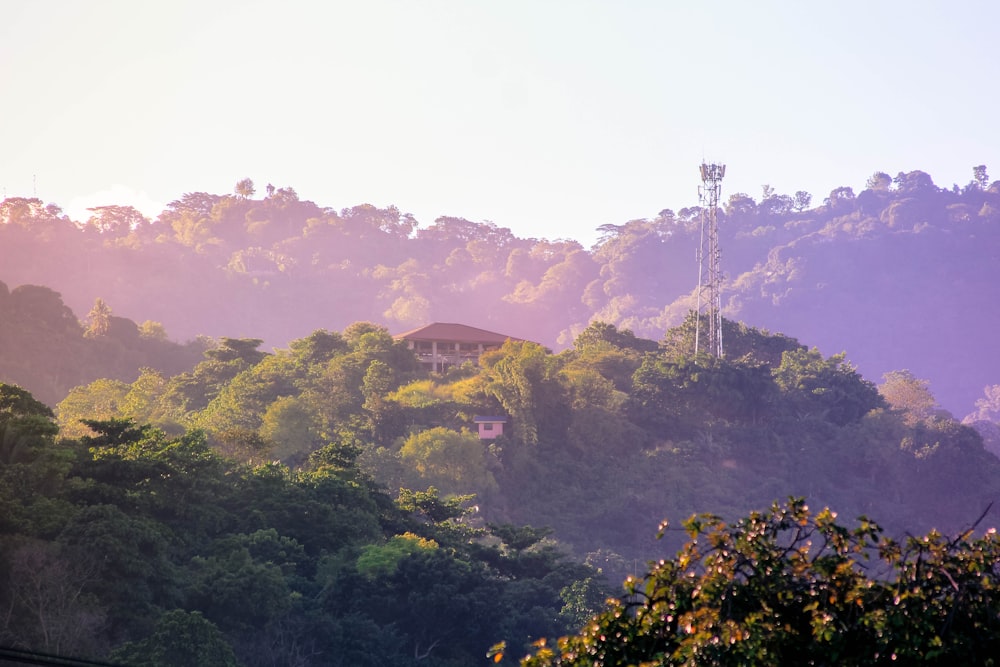 a house on a hill surrounded by trees