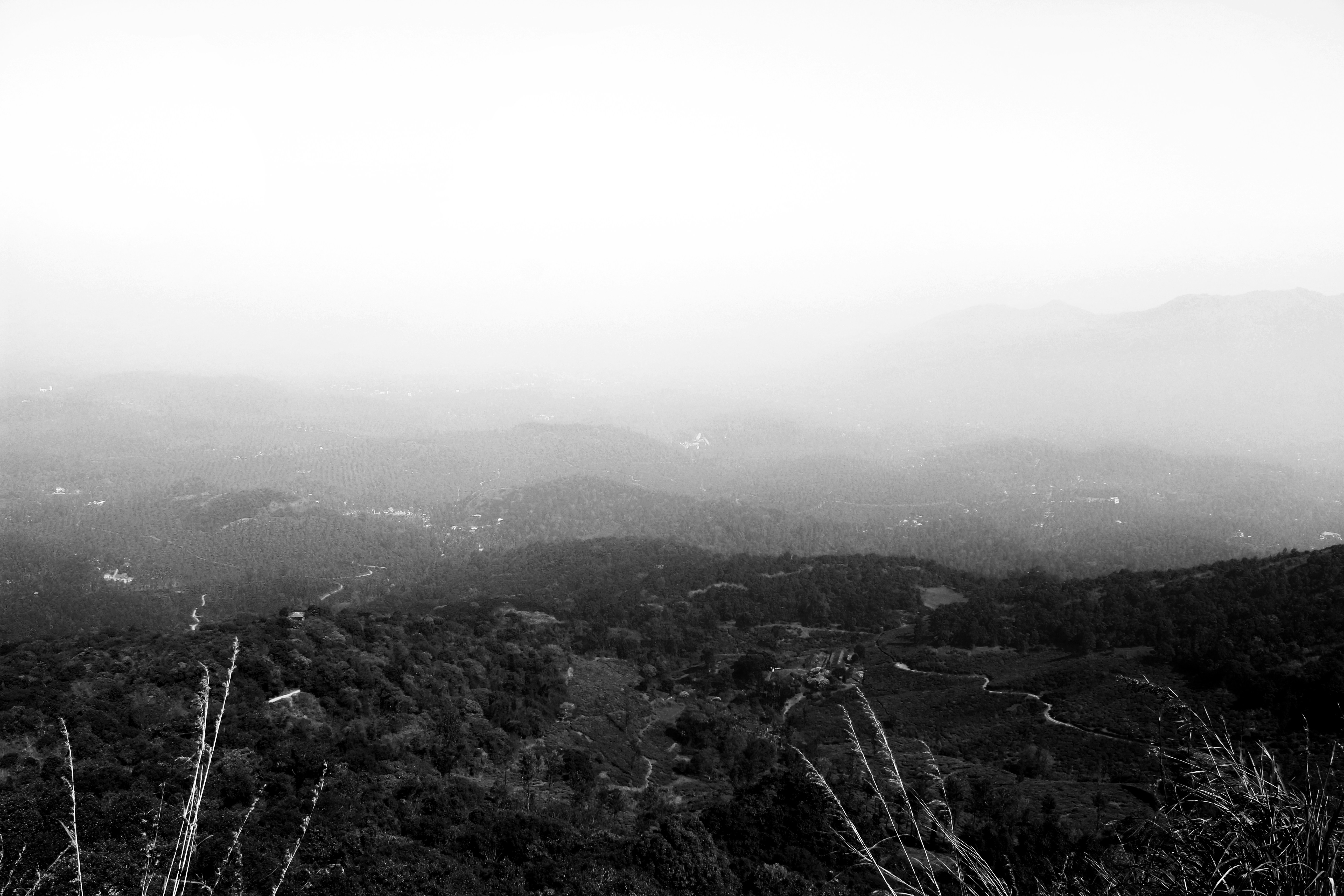 Photo by snehal_krishna