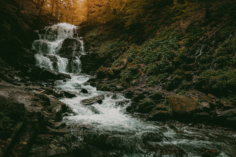 a small waterfall in the middle of a forest