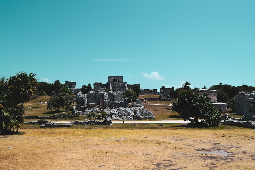 a group of ruins sitting on top of a dry grass field,