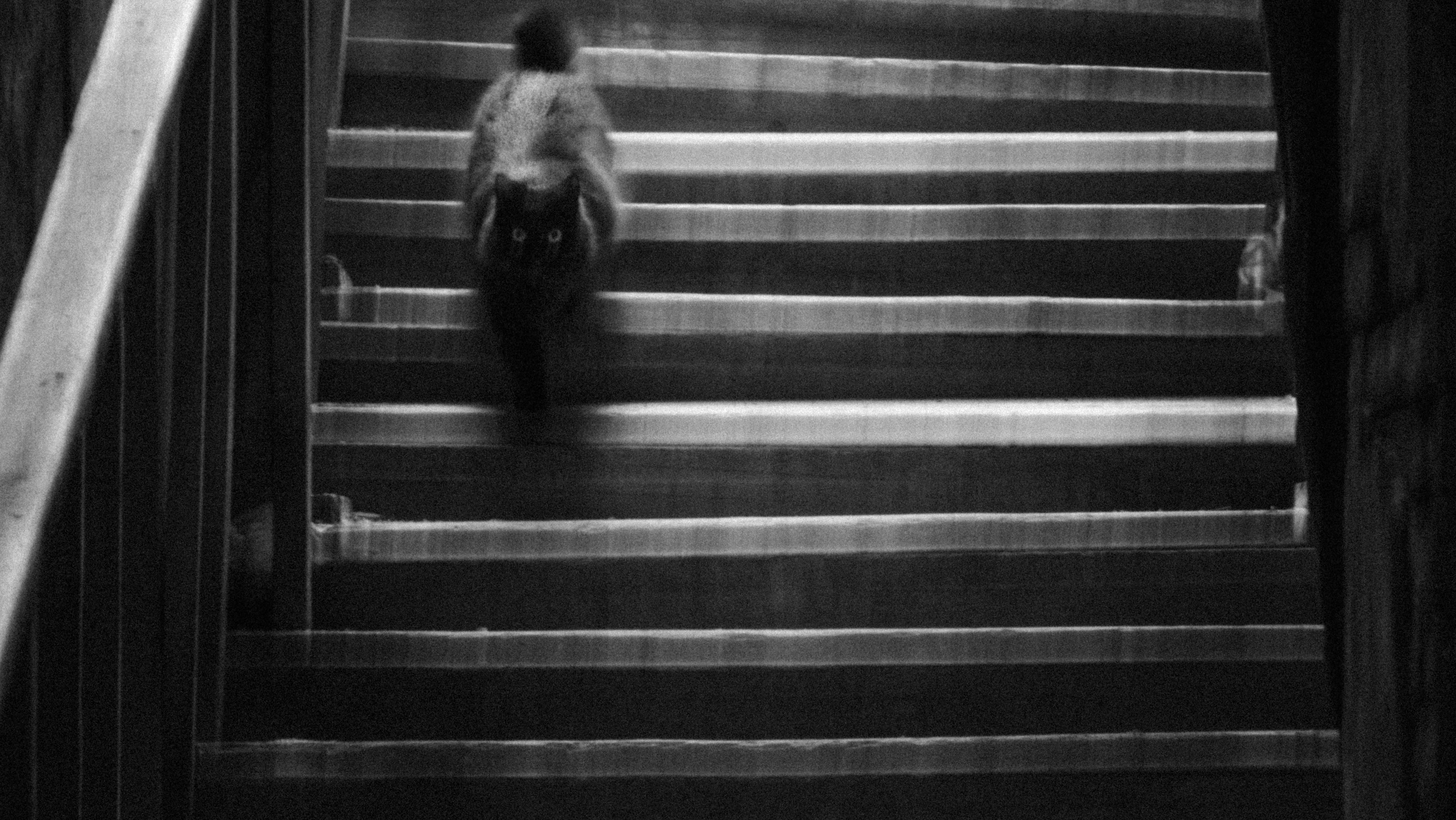 Photo by shadesofdecay