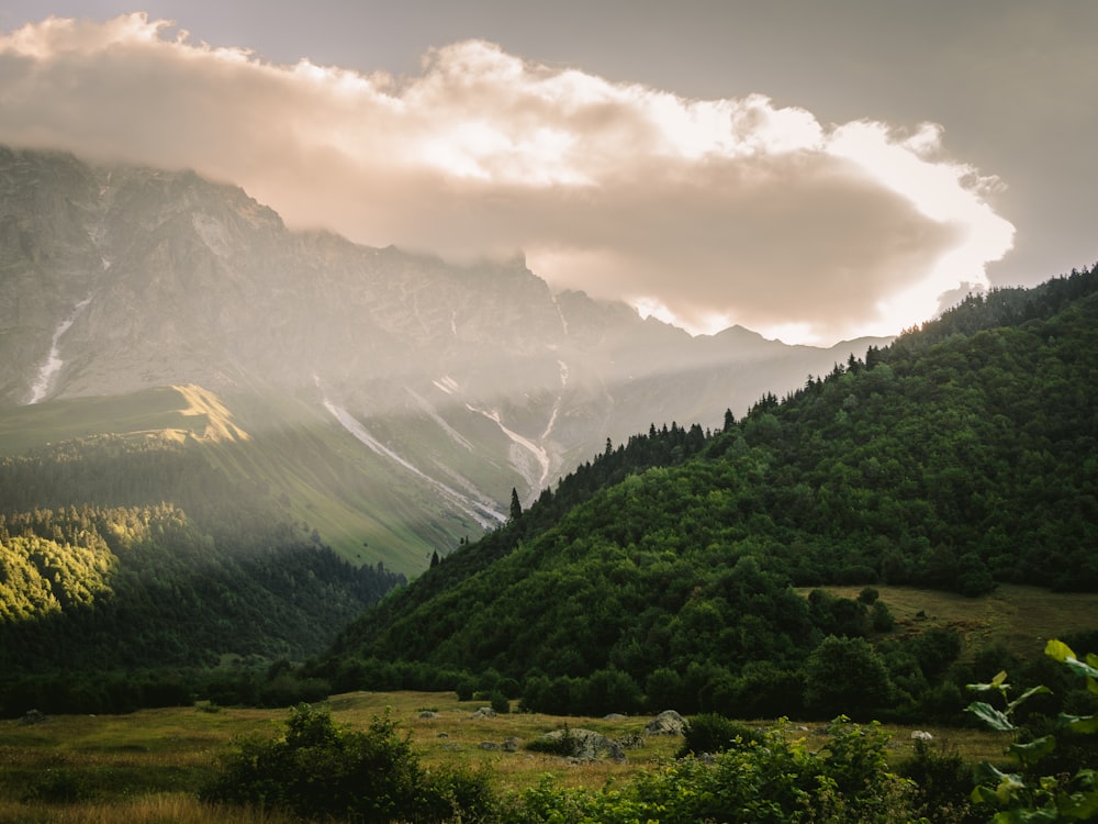 a mountain range with trees and clouds in the background