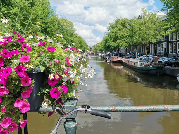 A scenic view of the Panama Canal with boats passing through.