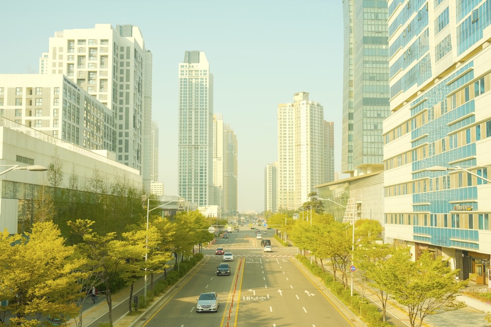 a city street lined with tall buildings and trees