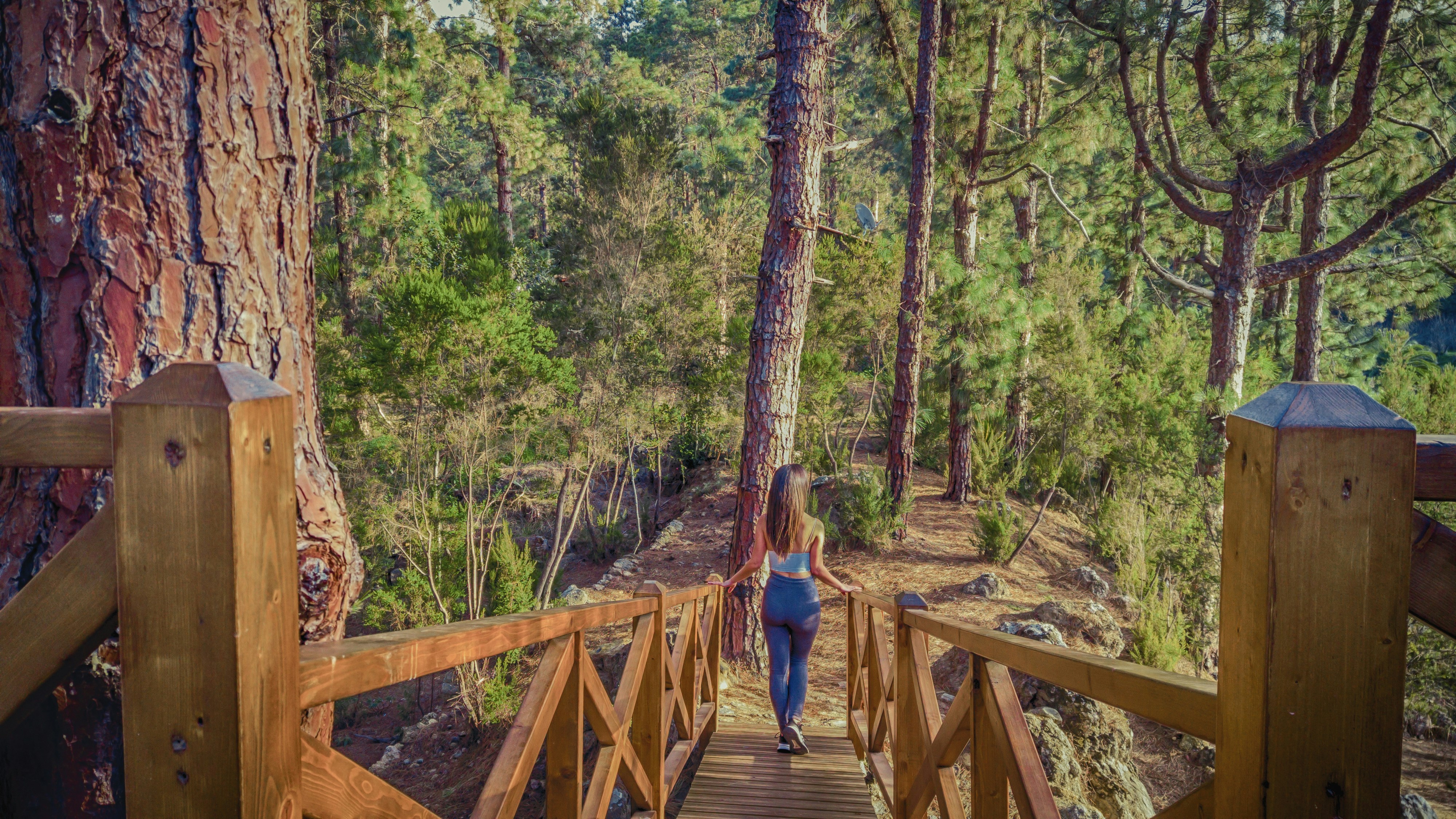 Parque Mirador los Olivos