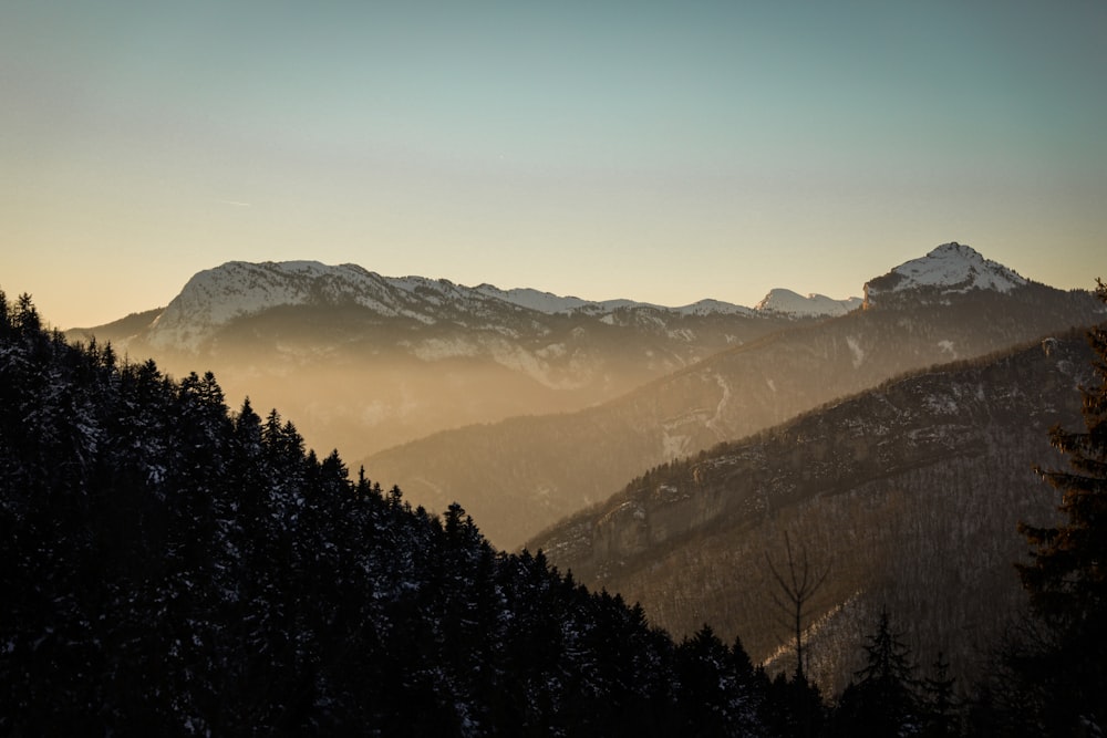 a view of a mountain range with trees in the foreground