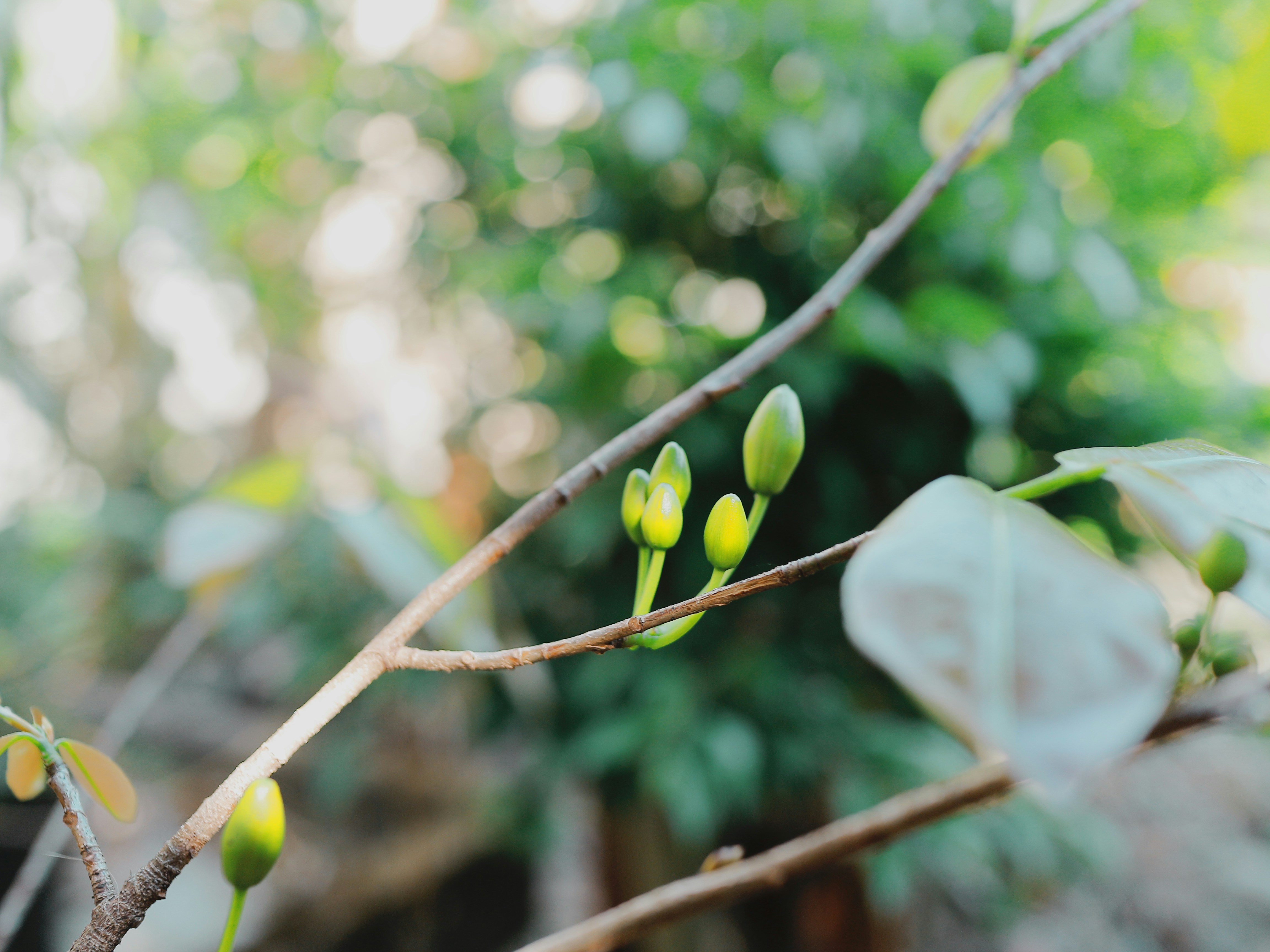 Photo by phamhoanghaidang