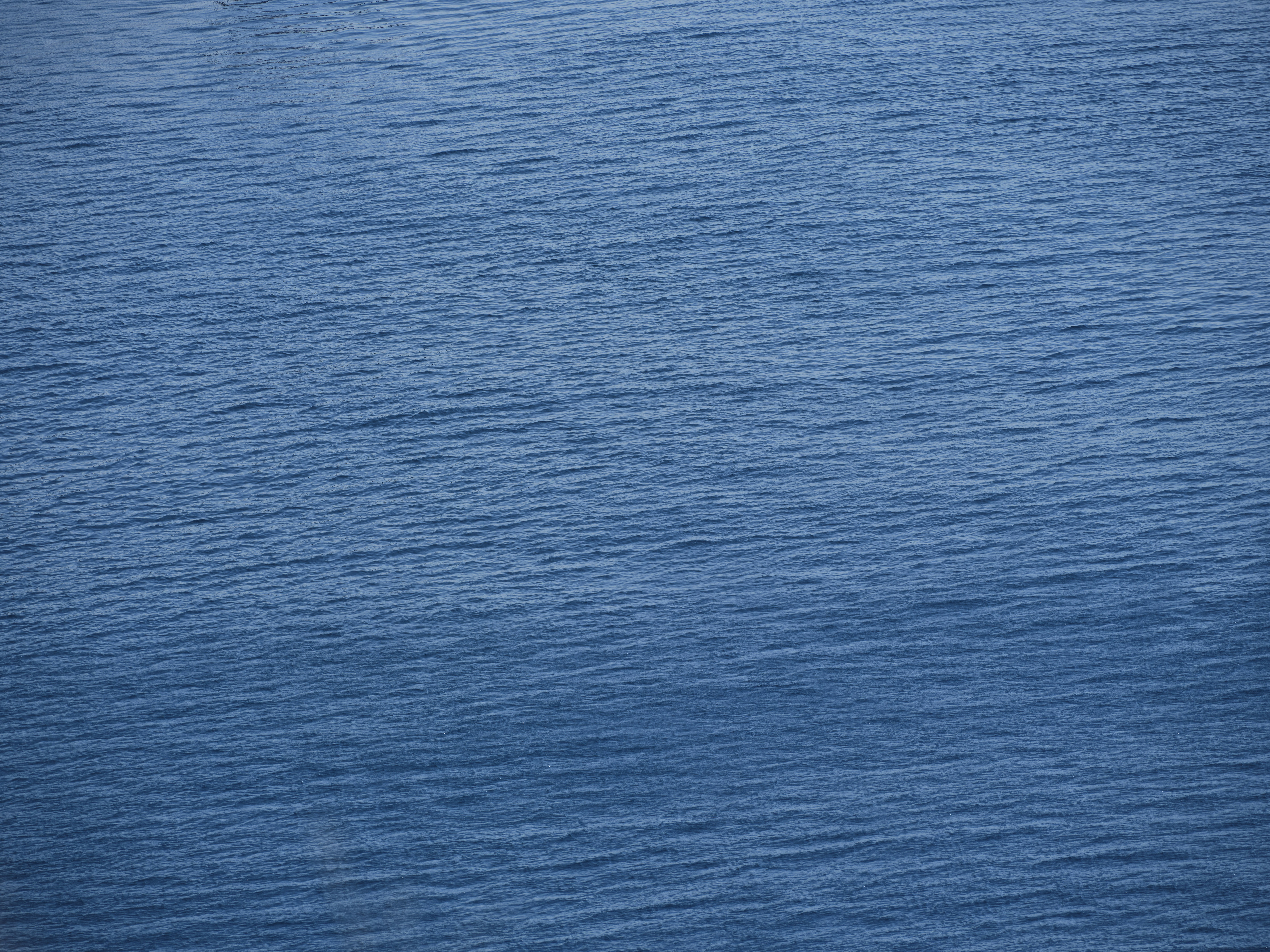 Photo by enginakyurt