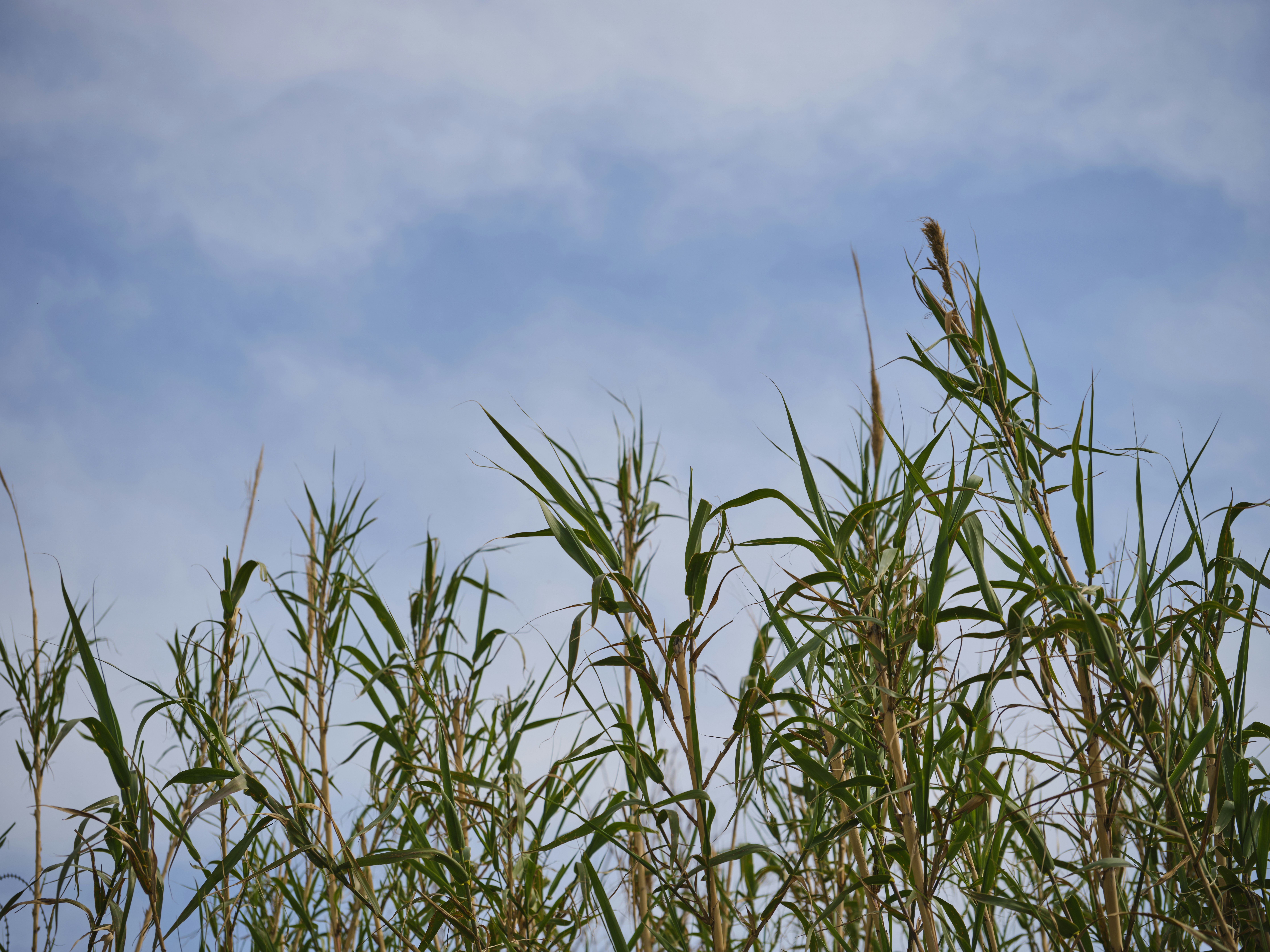 Photo by enginakyurt