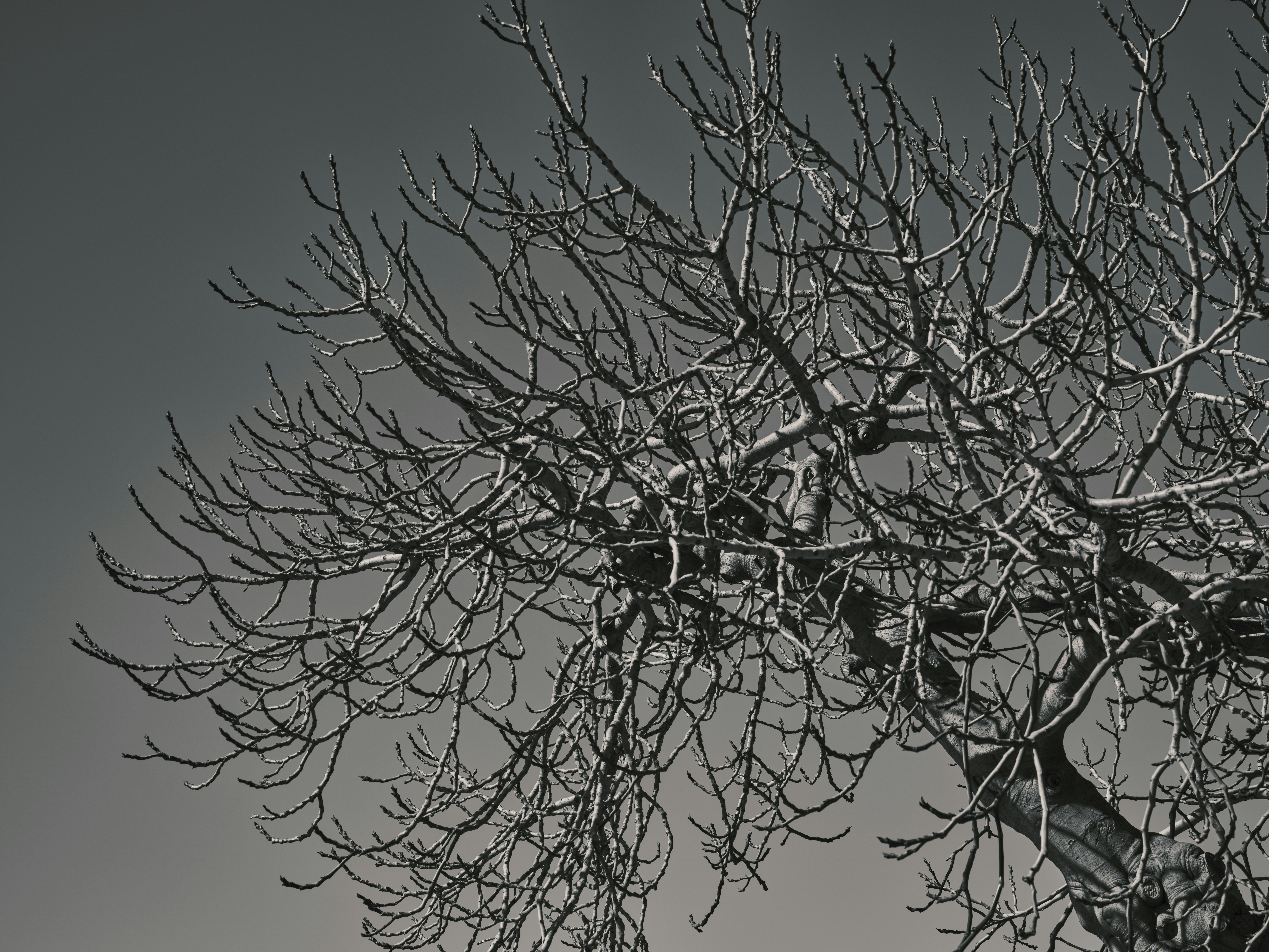 Photo by enginakyurt