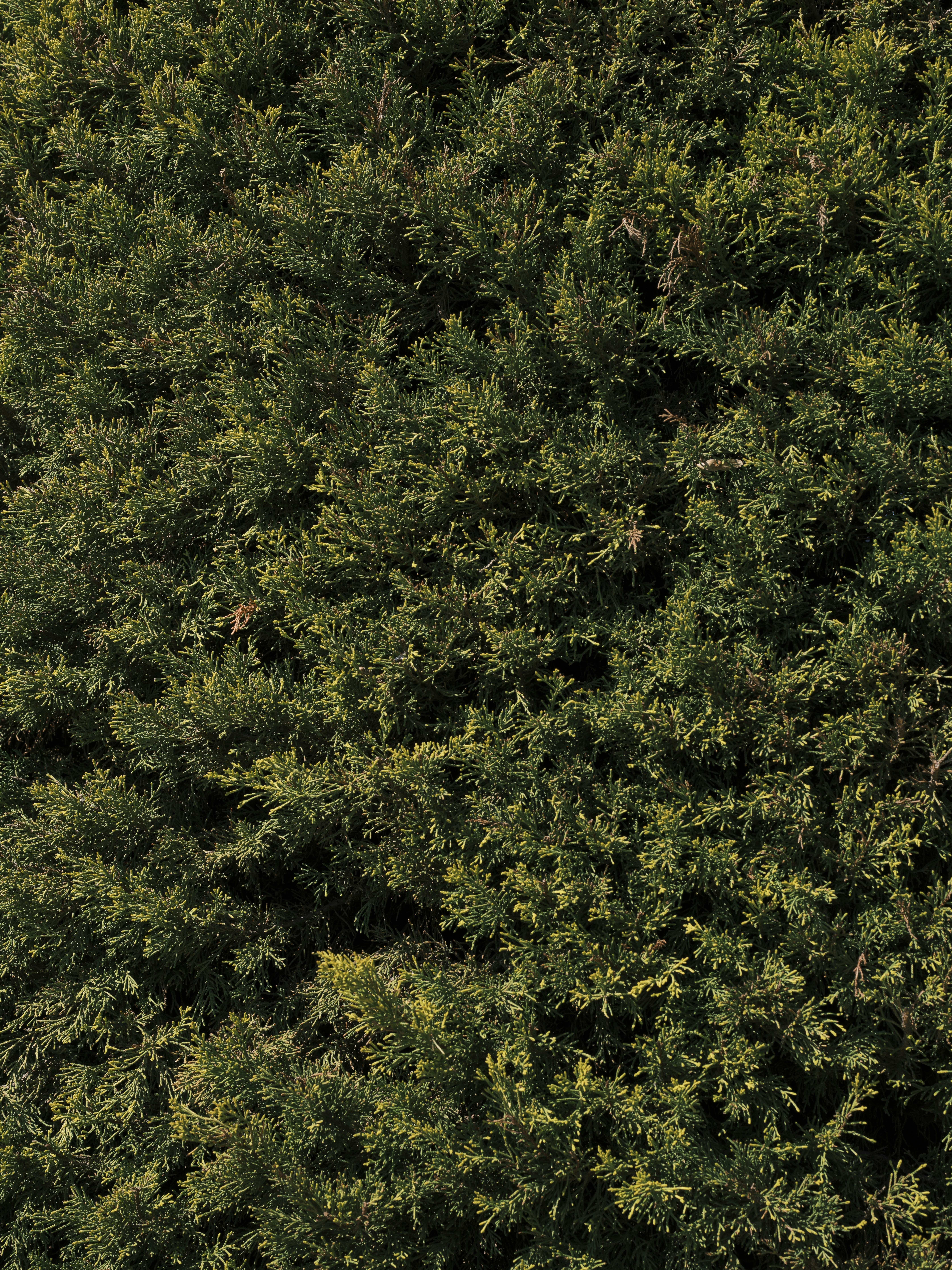 Photo by enginakyurt