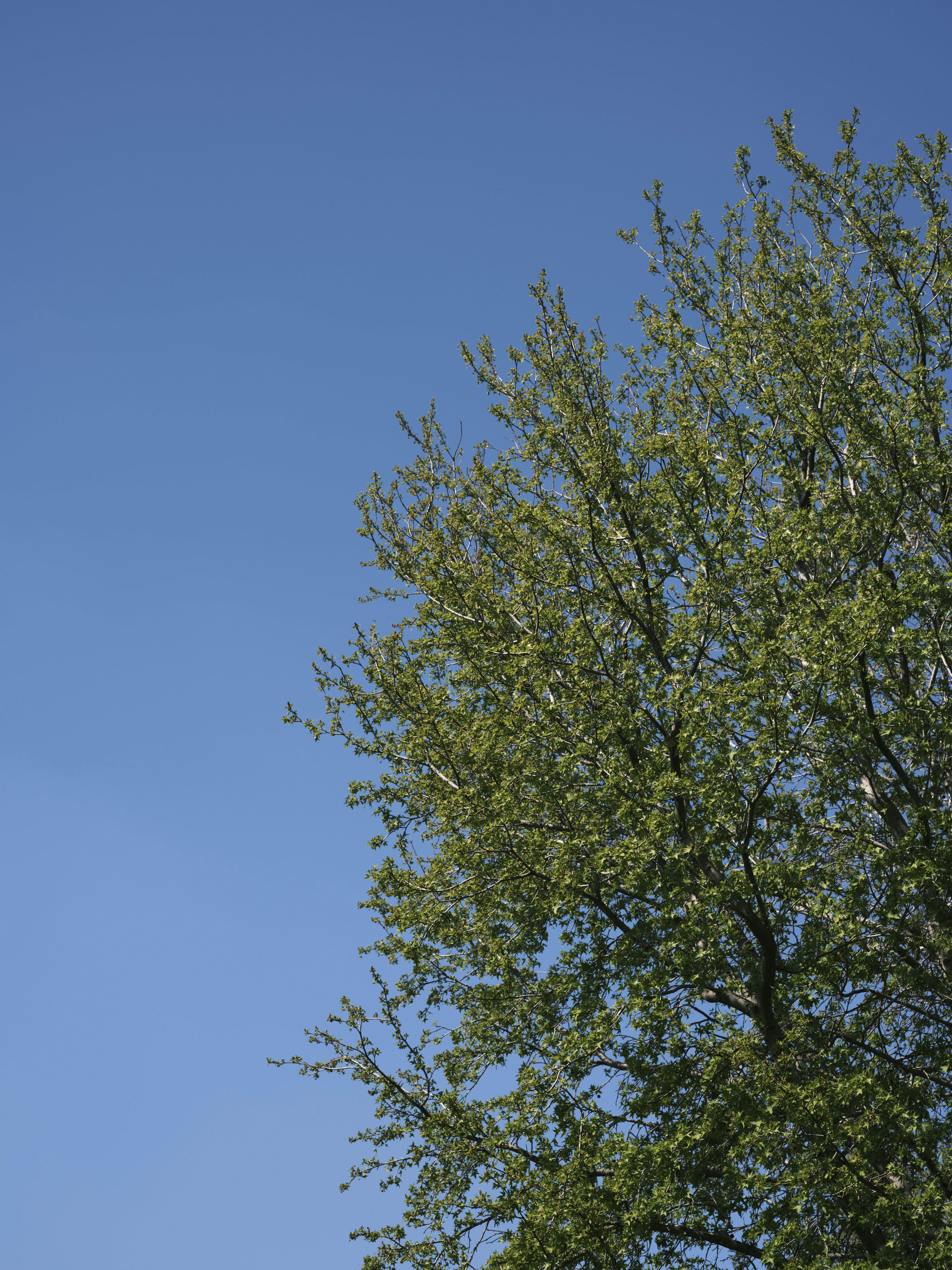 Photo by enginakyurt