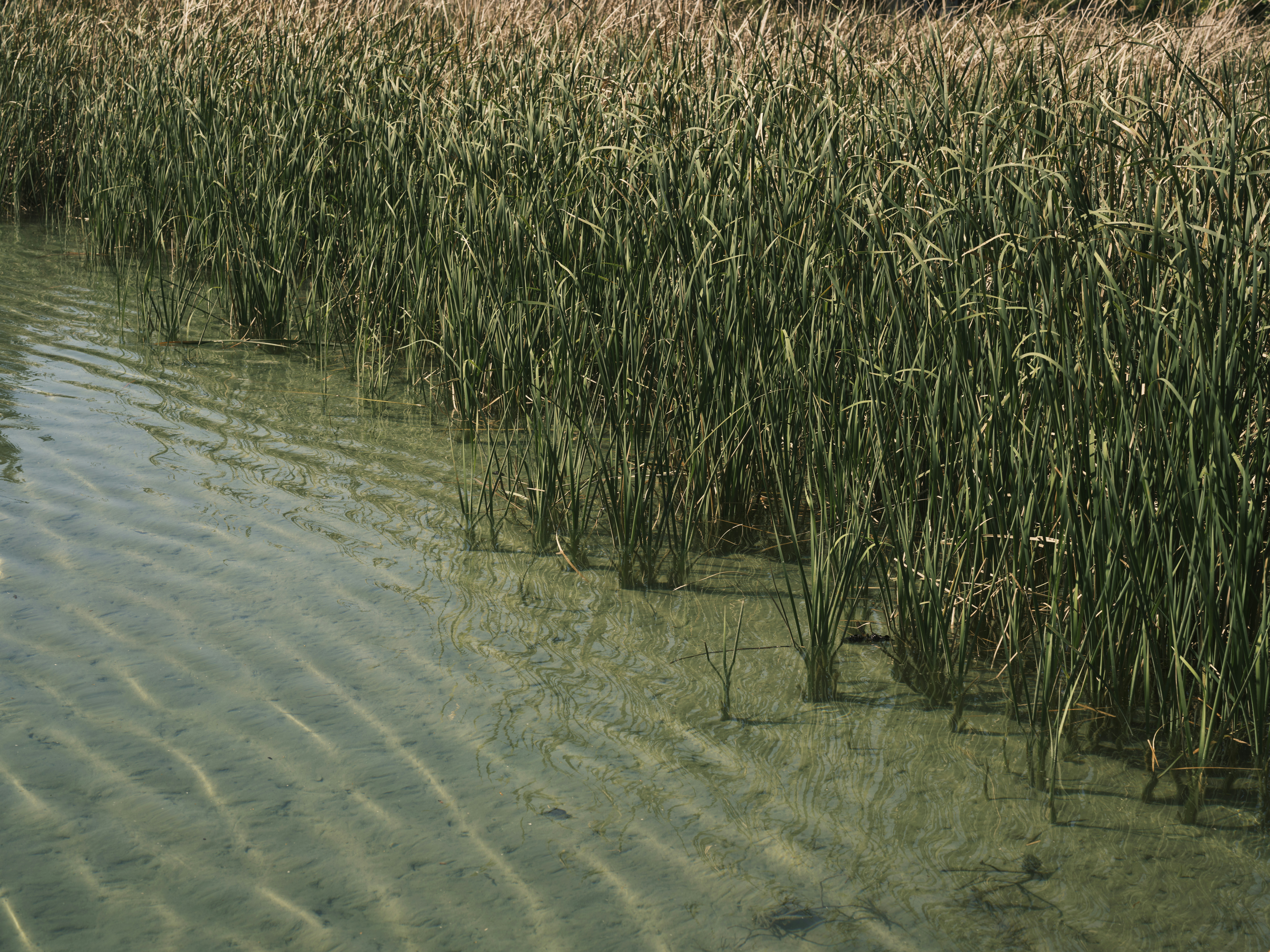 Photo by enginakyurt