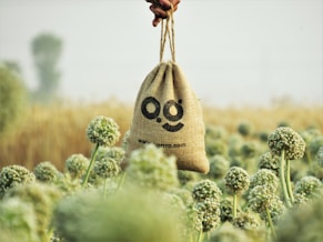 a hand holding a bag with a smiley face drawn on it