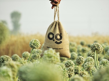 a hand holding a bag with a smiley face drawn on it
