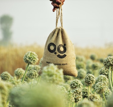 a hand holding a bag with a smiley face drawn on it