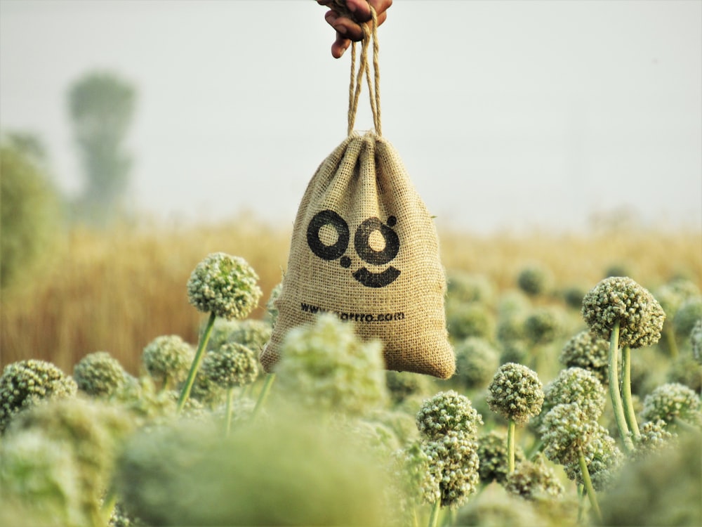 a hand holding a bag with a smiley face drawn on it