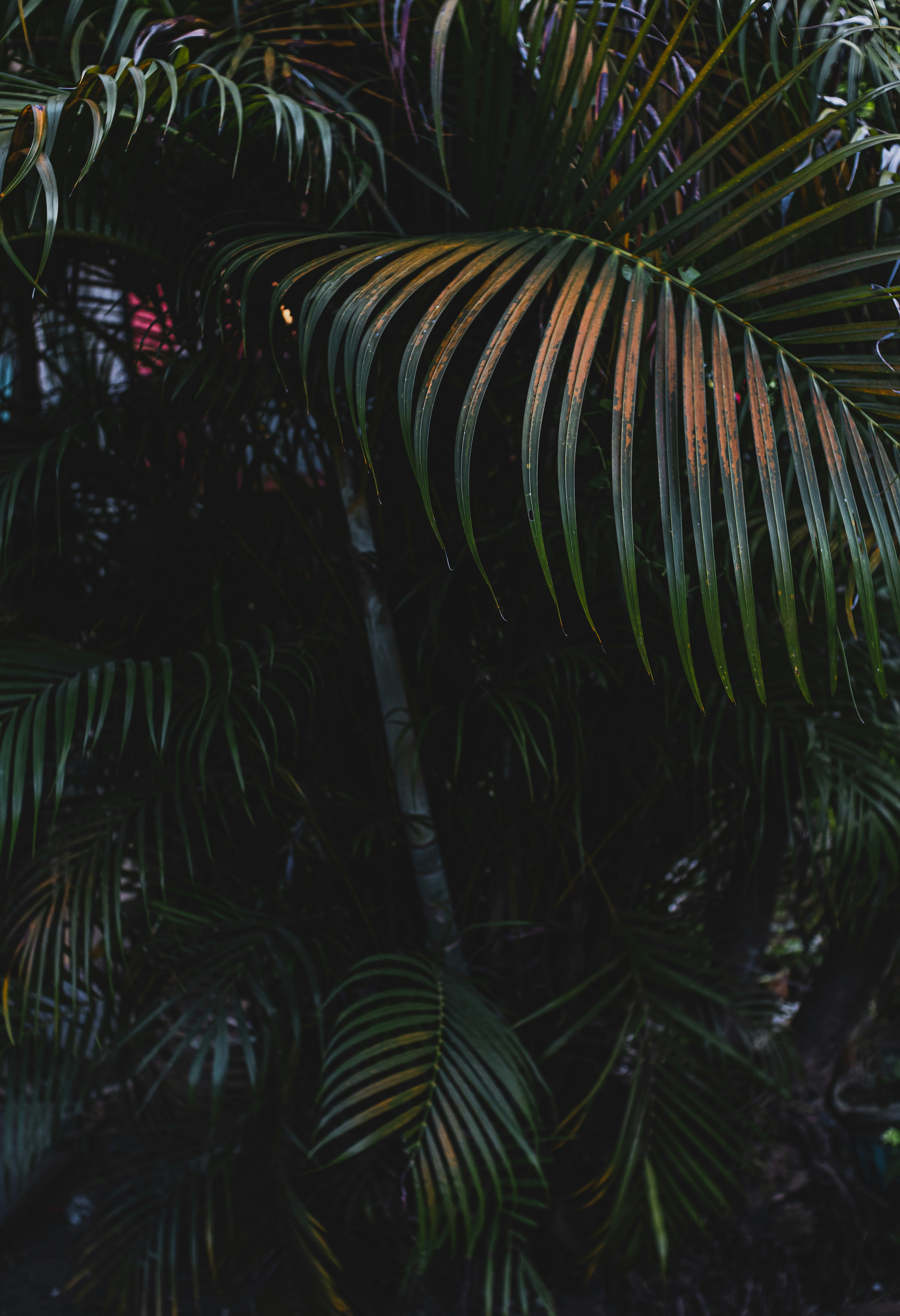 Photo by roadahead_2223