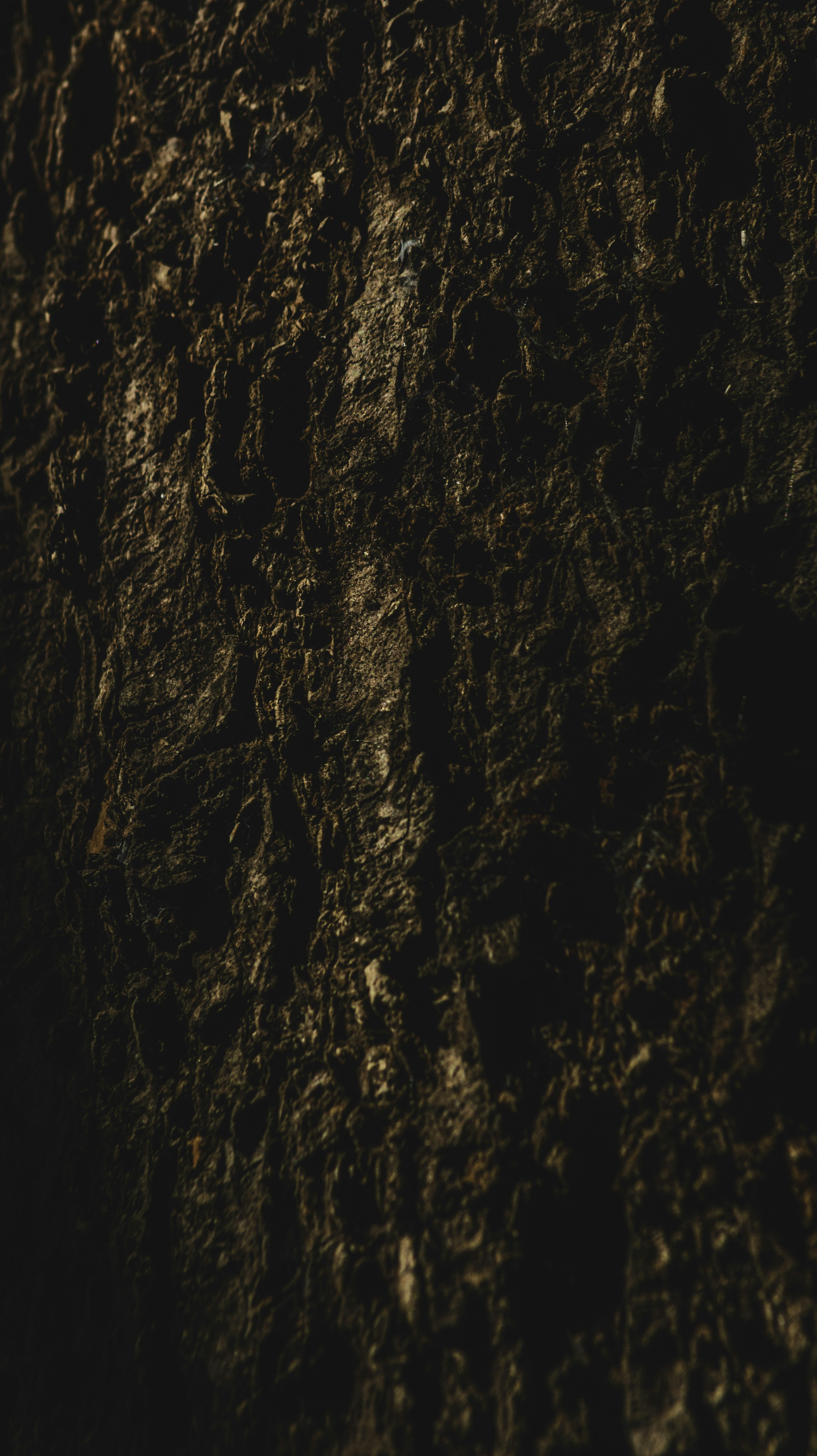 Photo by roadahead_2223