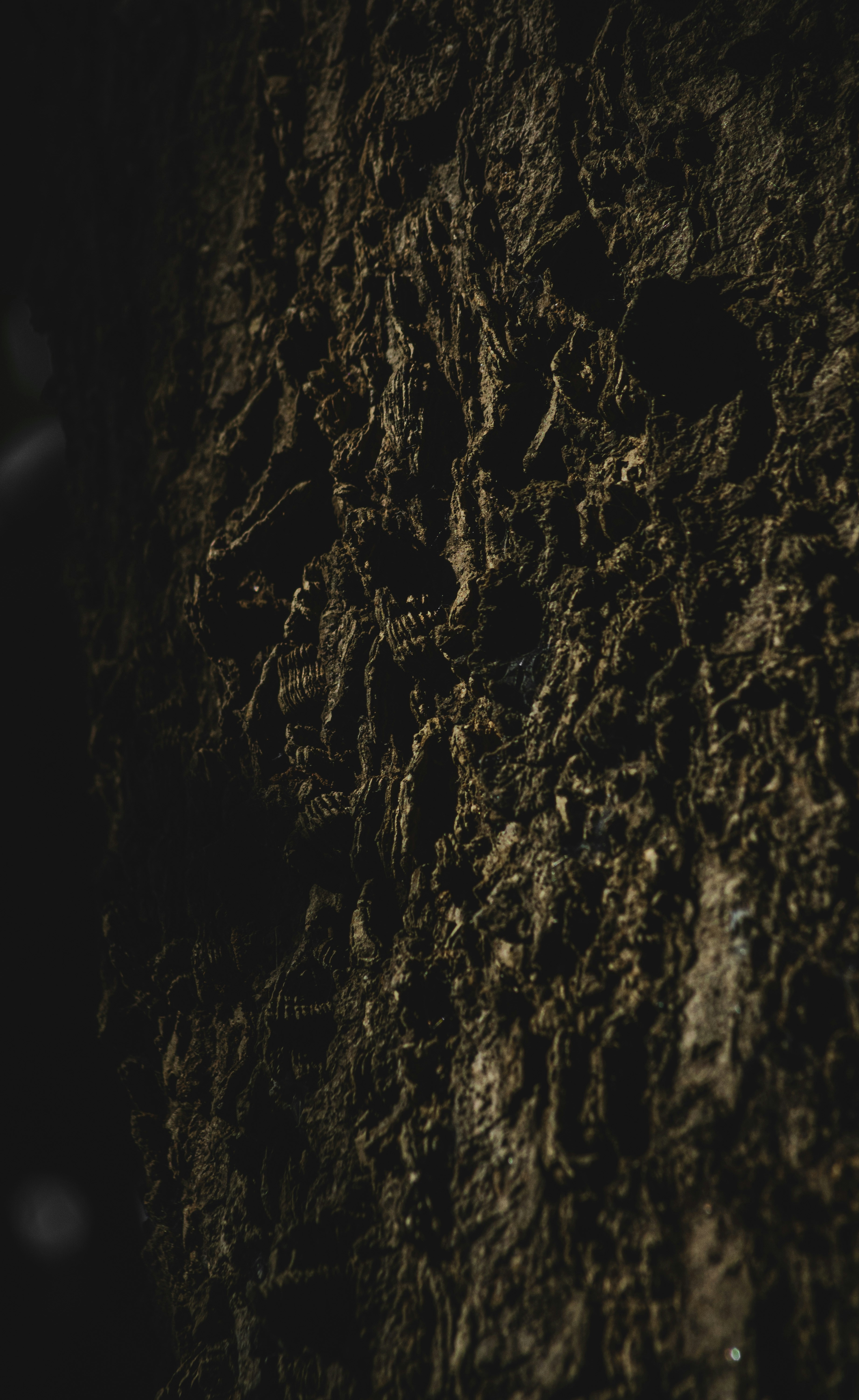 Photo by roadahead_2223