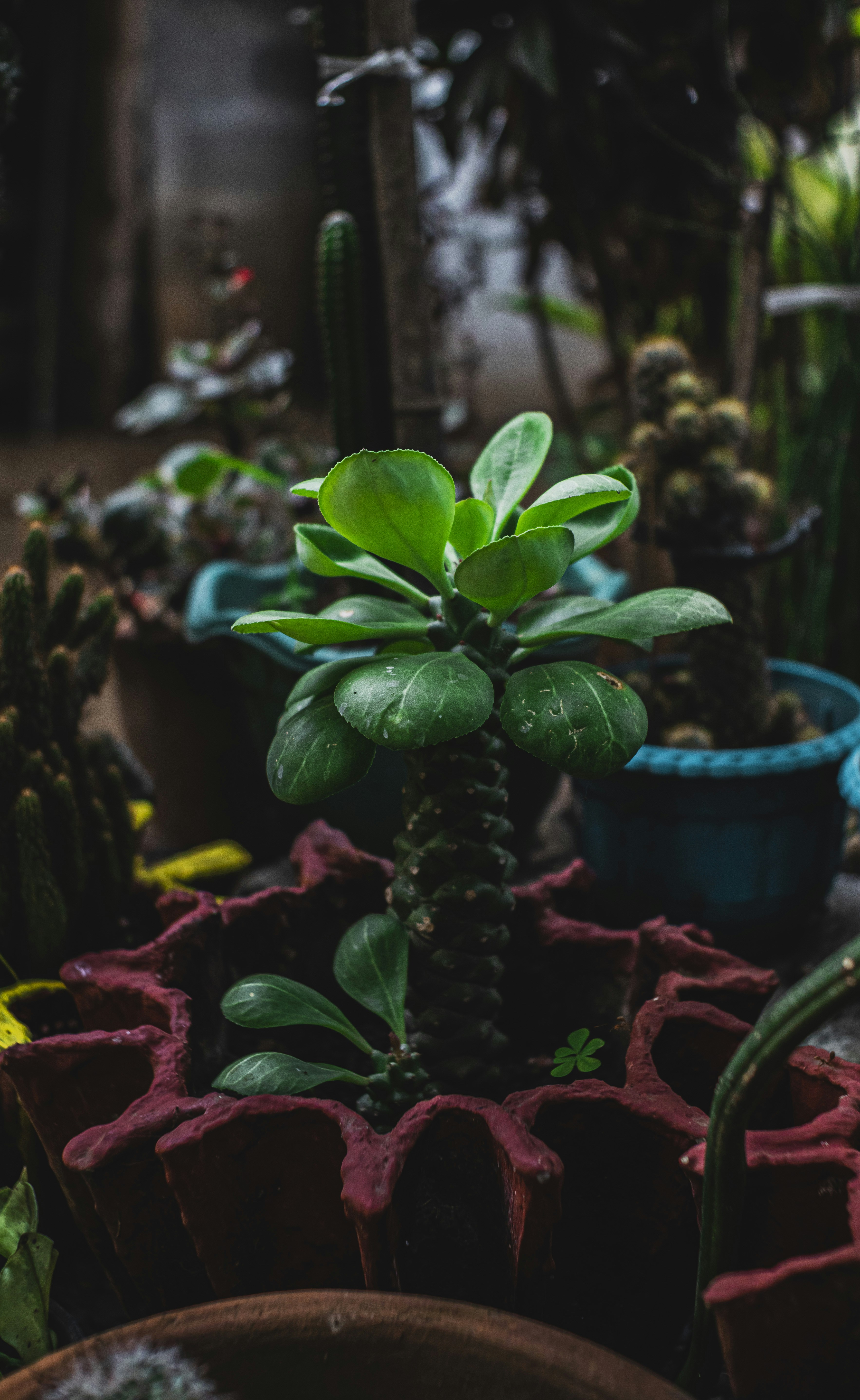 Photo by roadahead_2223