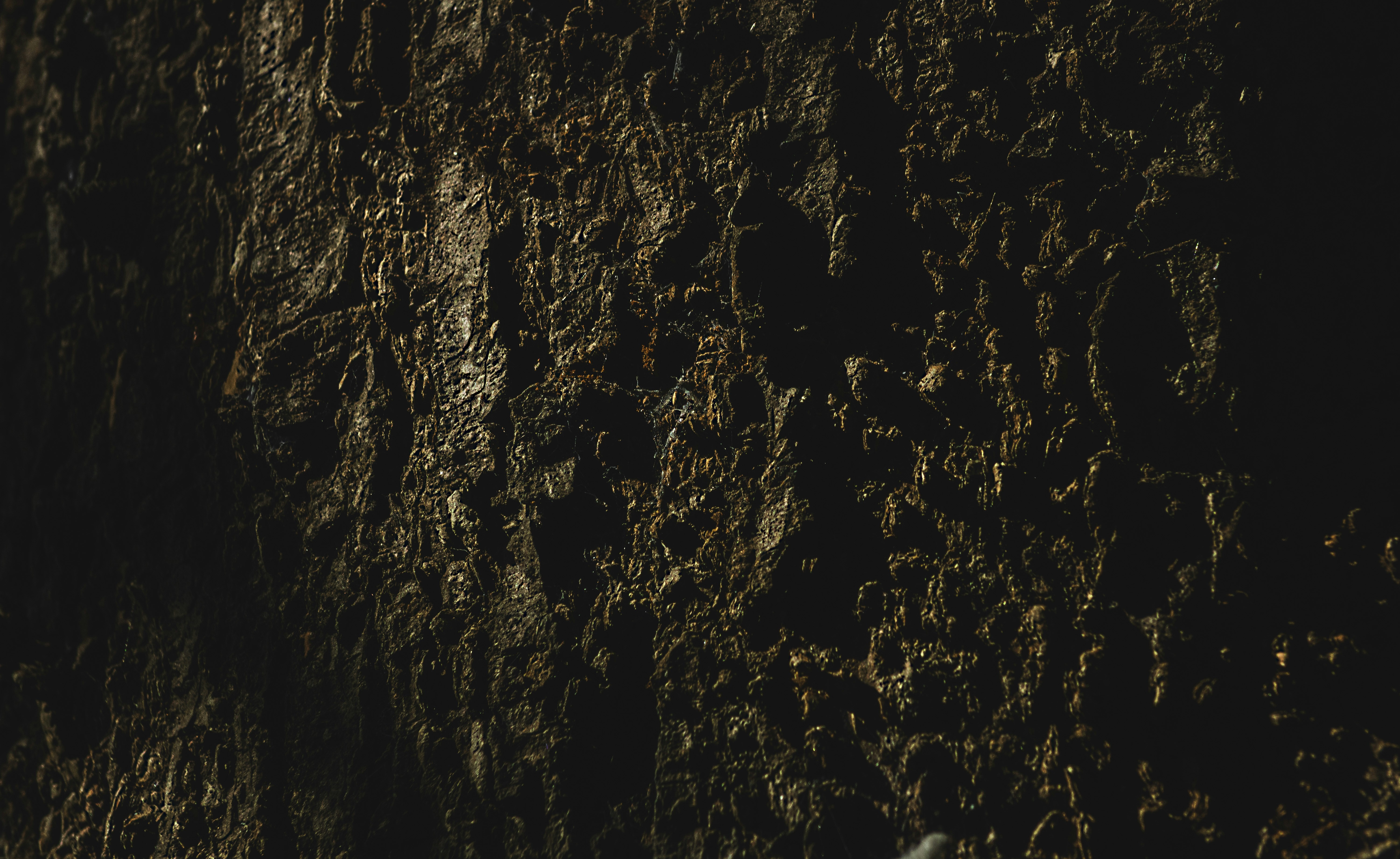 Photo by roadahead_2223