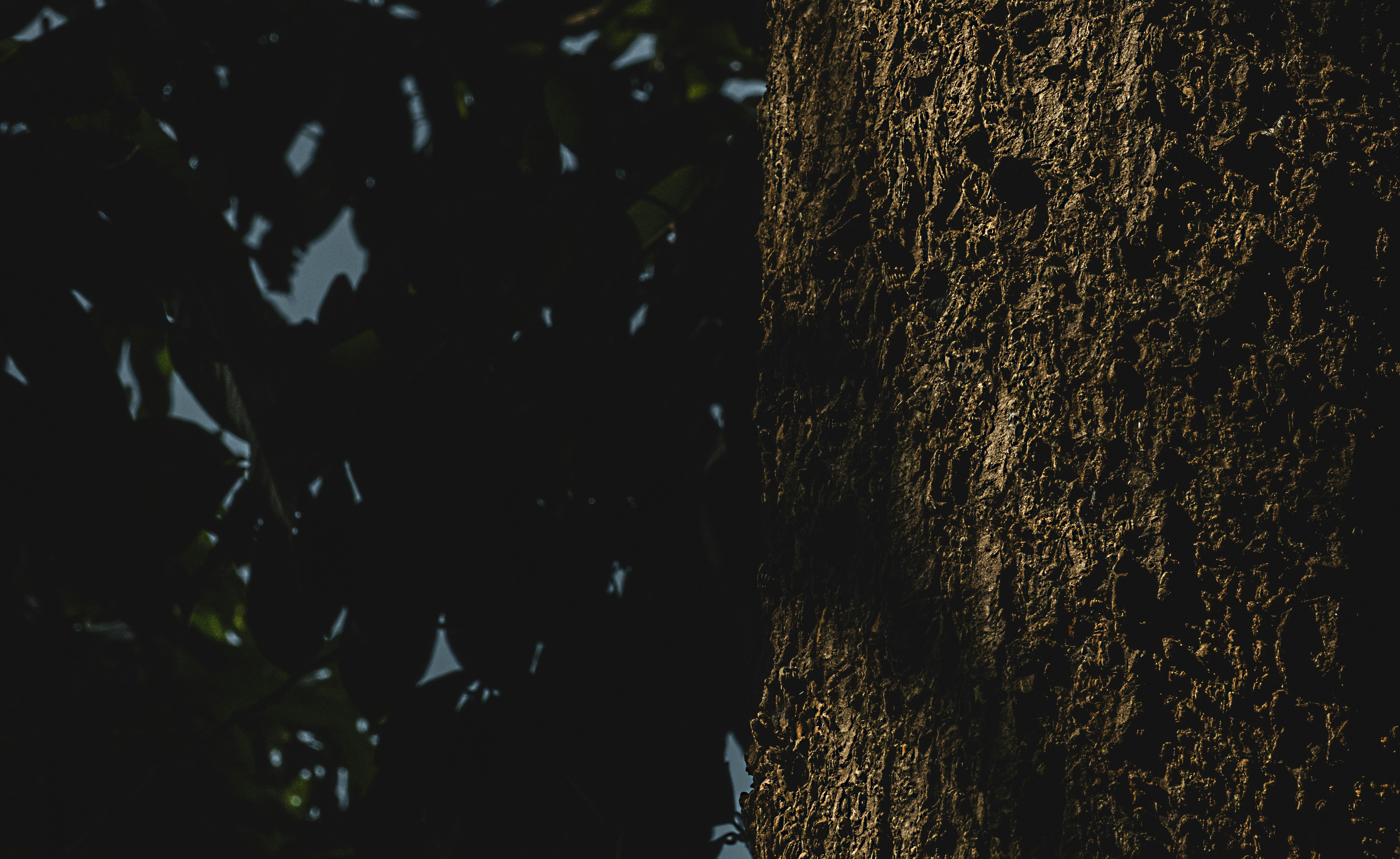 Photo by roadahead_2223