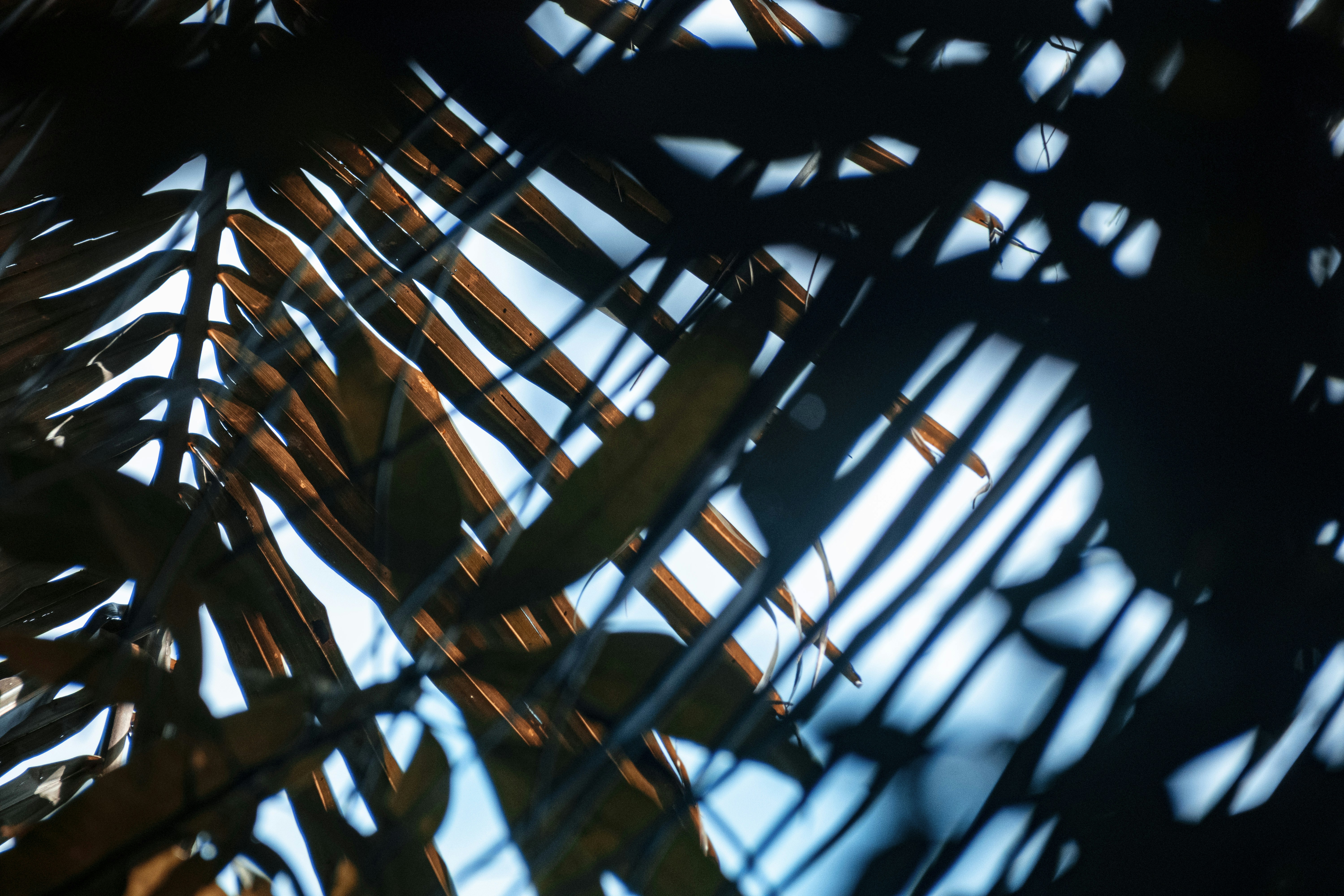 Photo by roadahead_2223