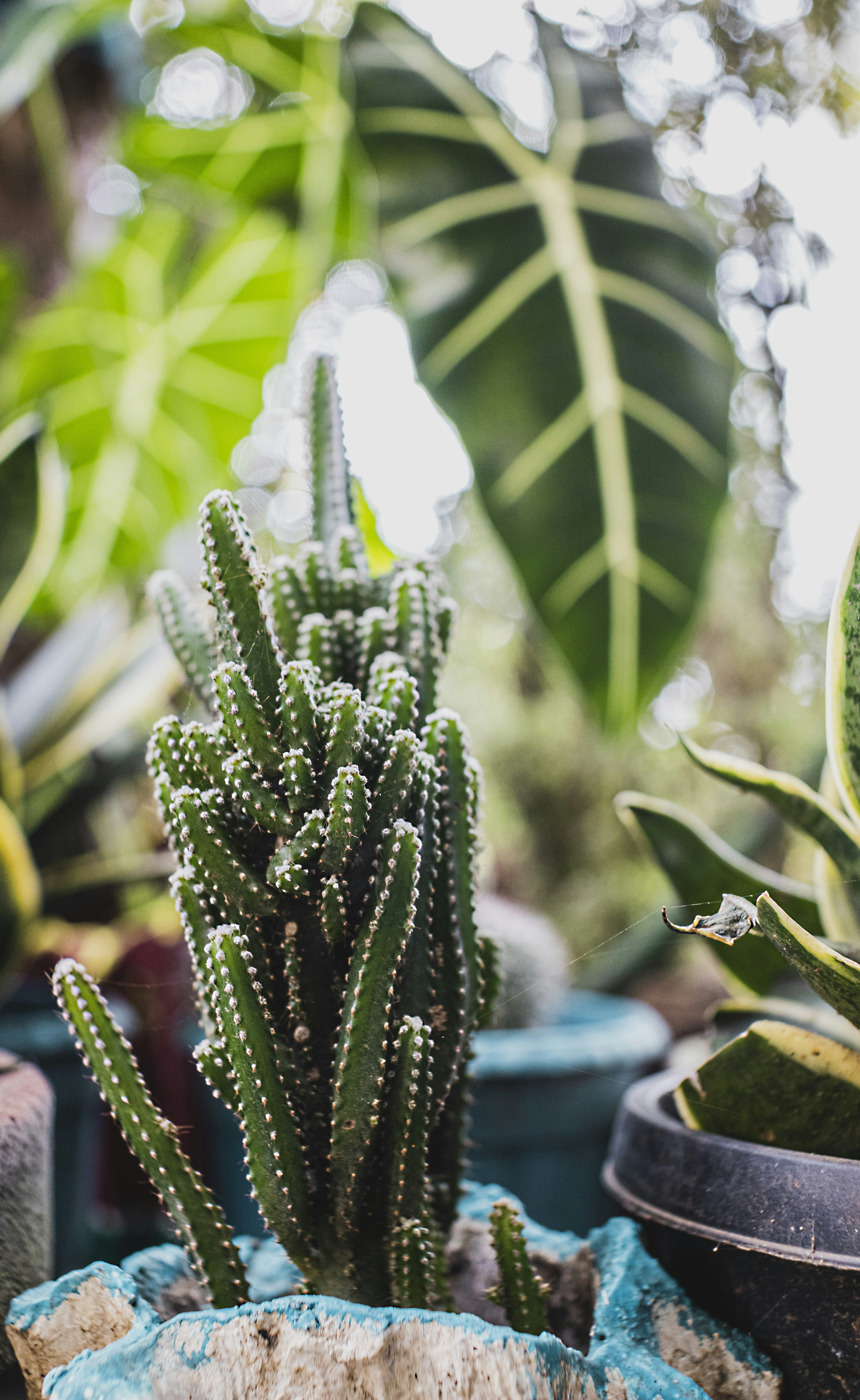 Photo by roadahead_2223