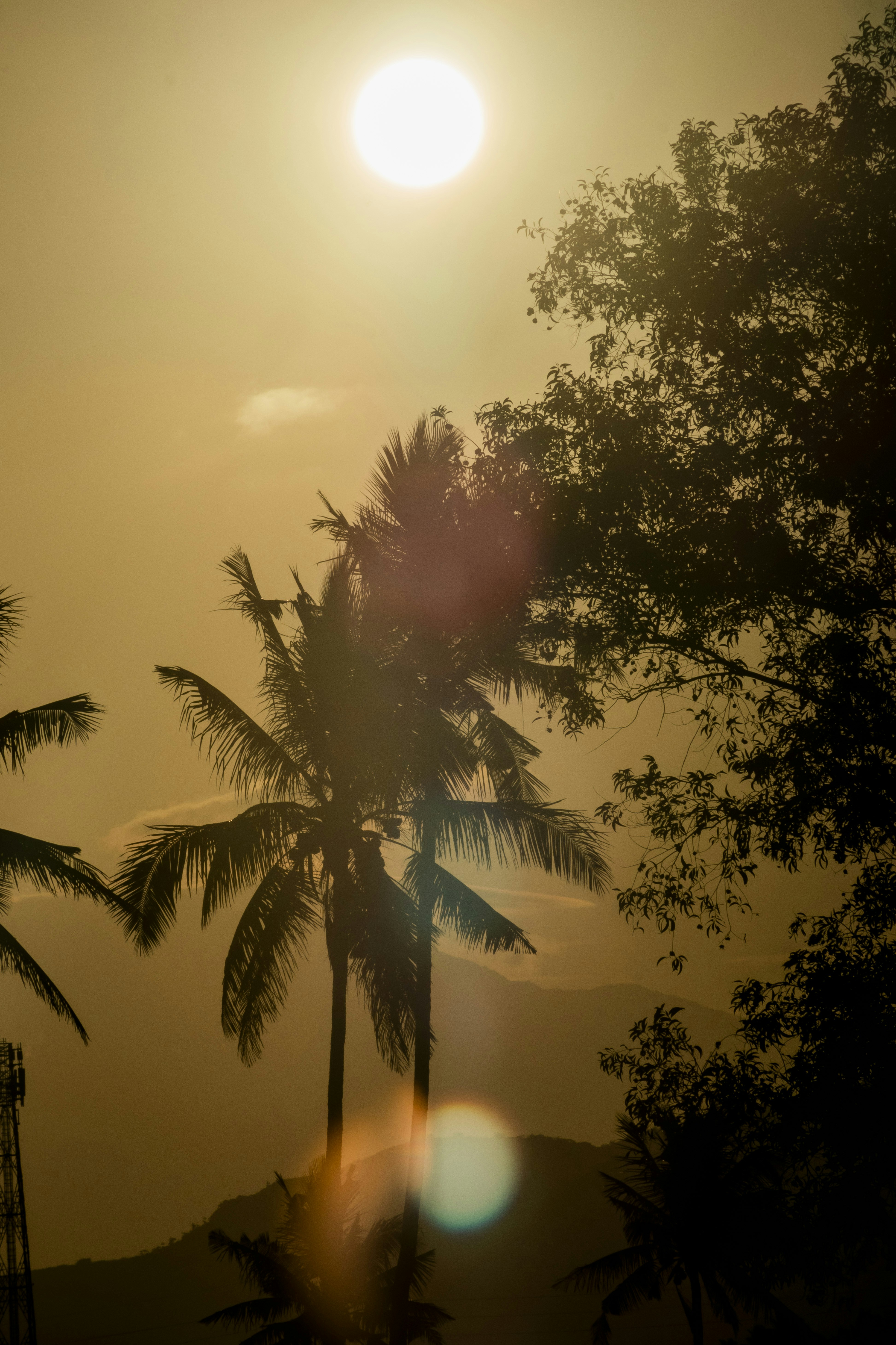 Photo by roadahead_2223