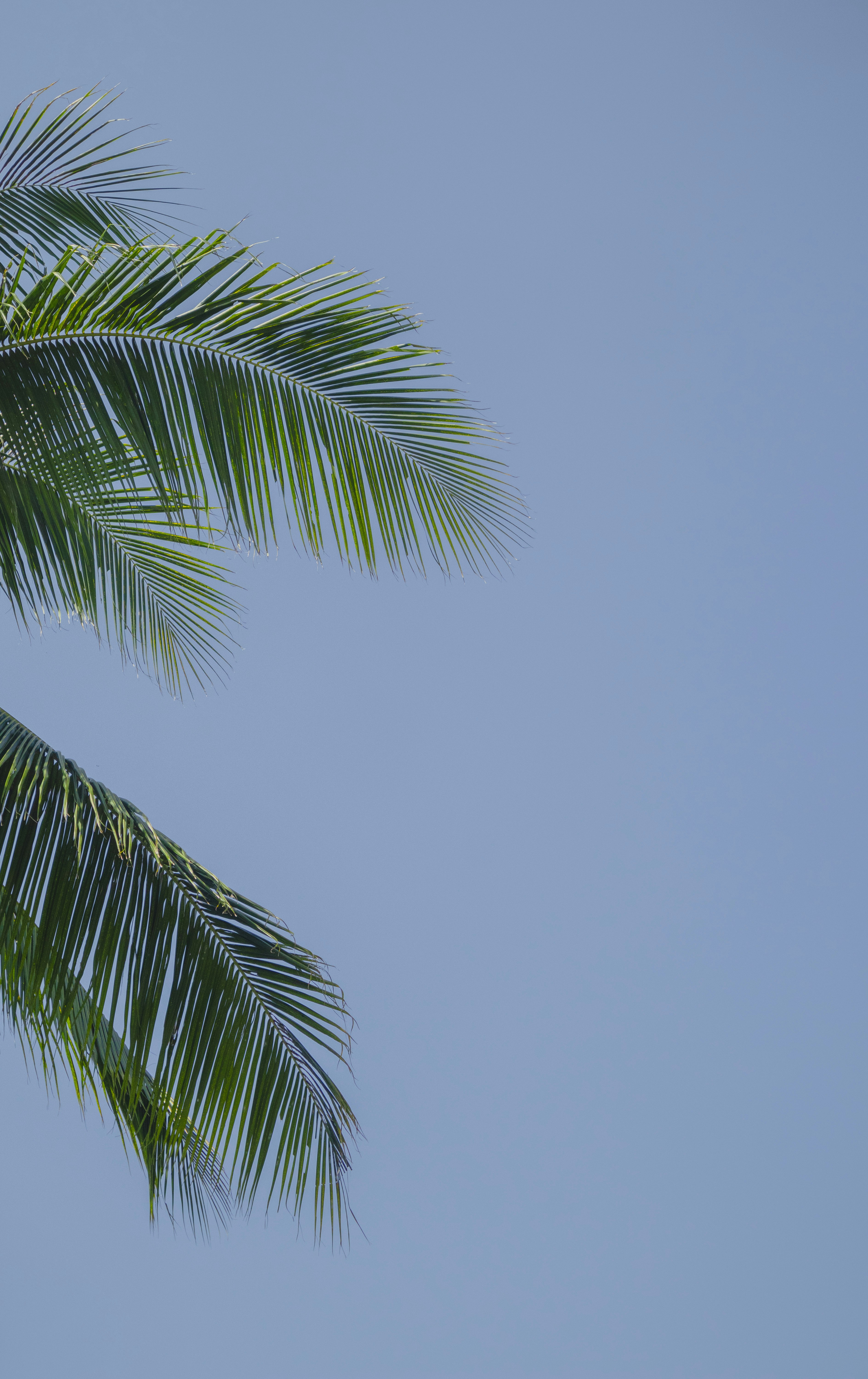 Photo by roadahead_2223