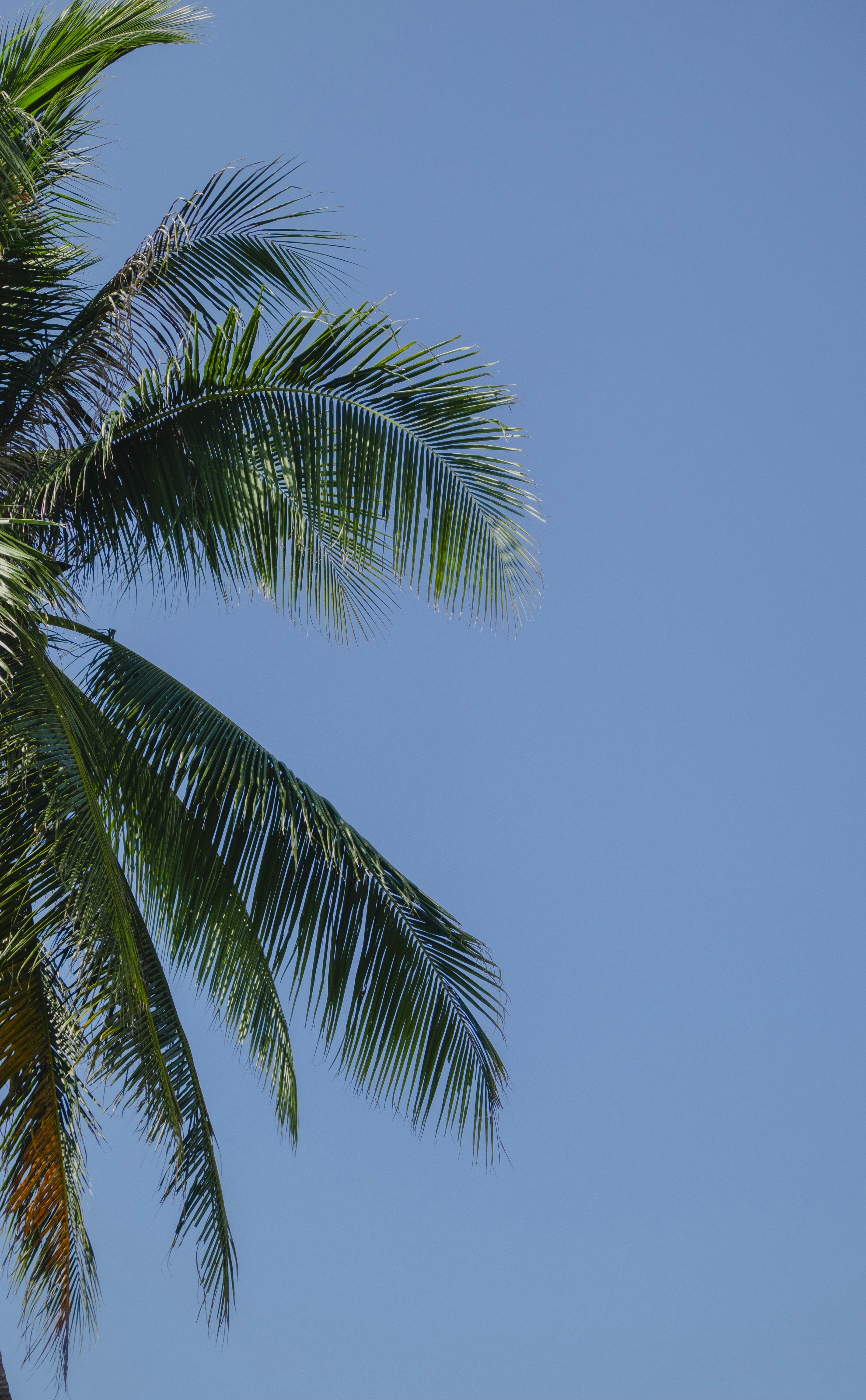 Photo by roadahead_2223