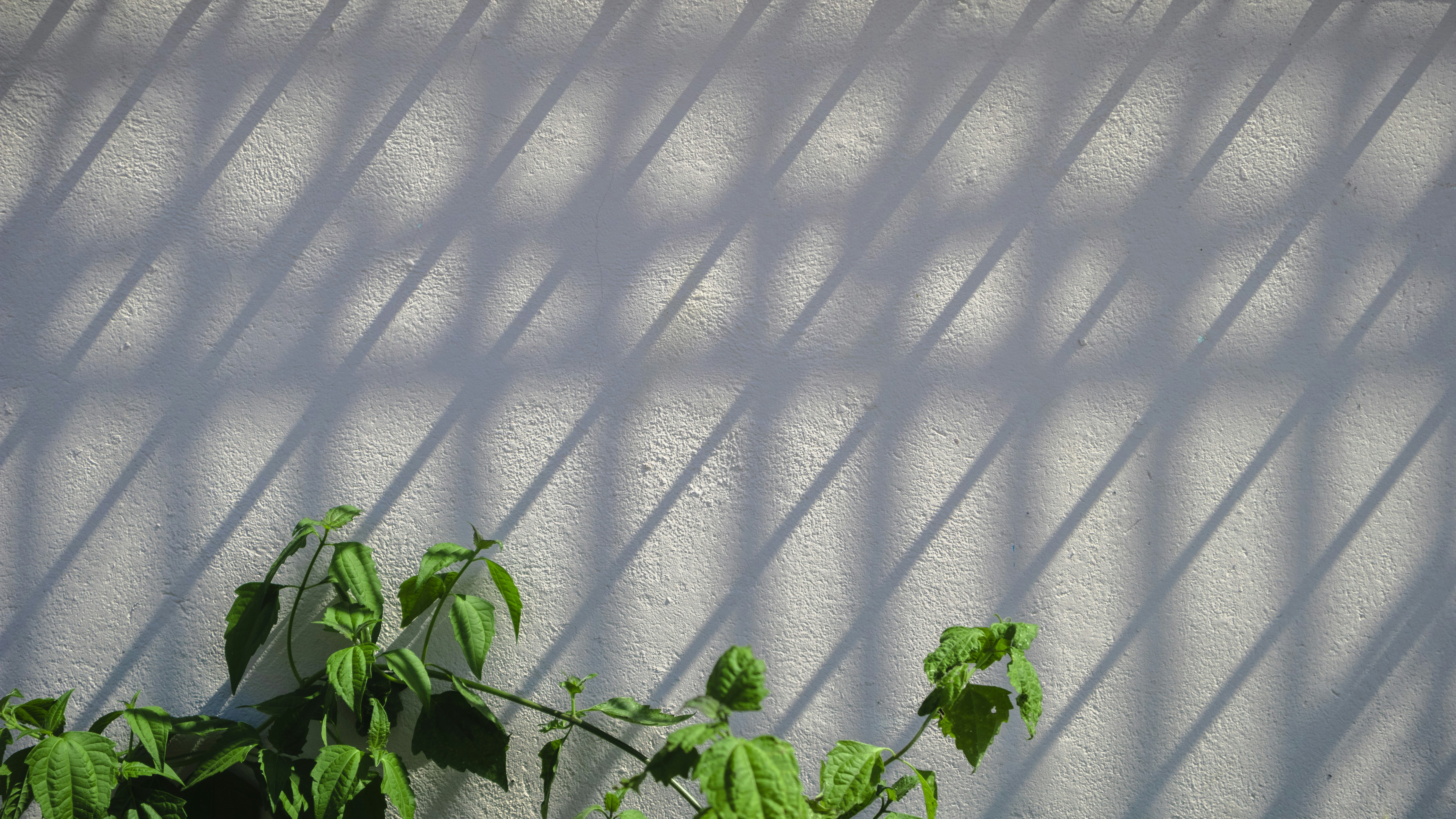 Photo by roadahead_2223