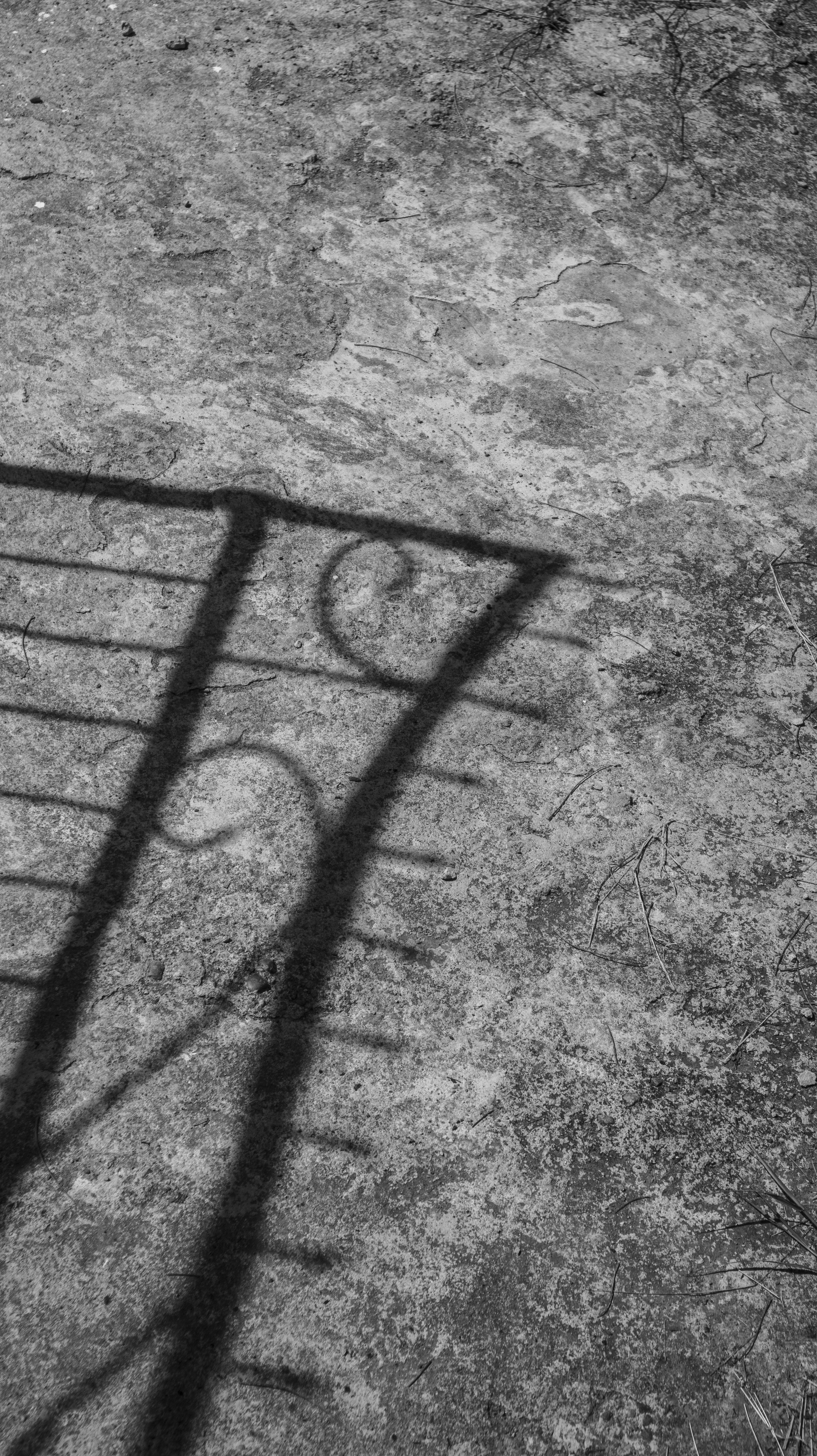 Photo by roadahead_2223