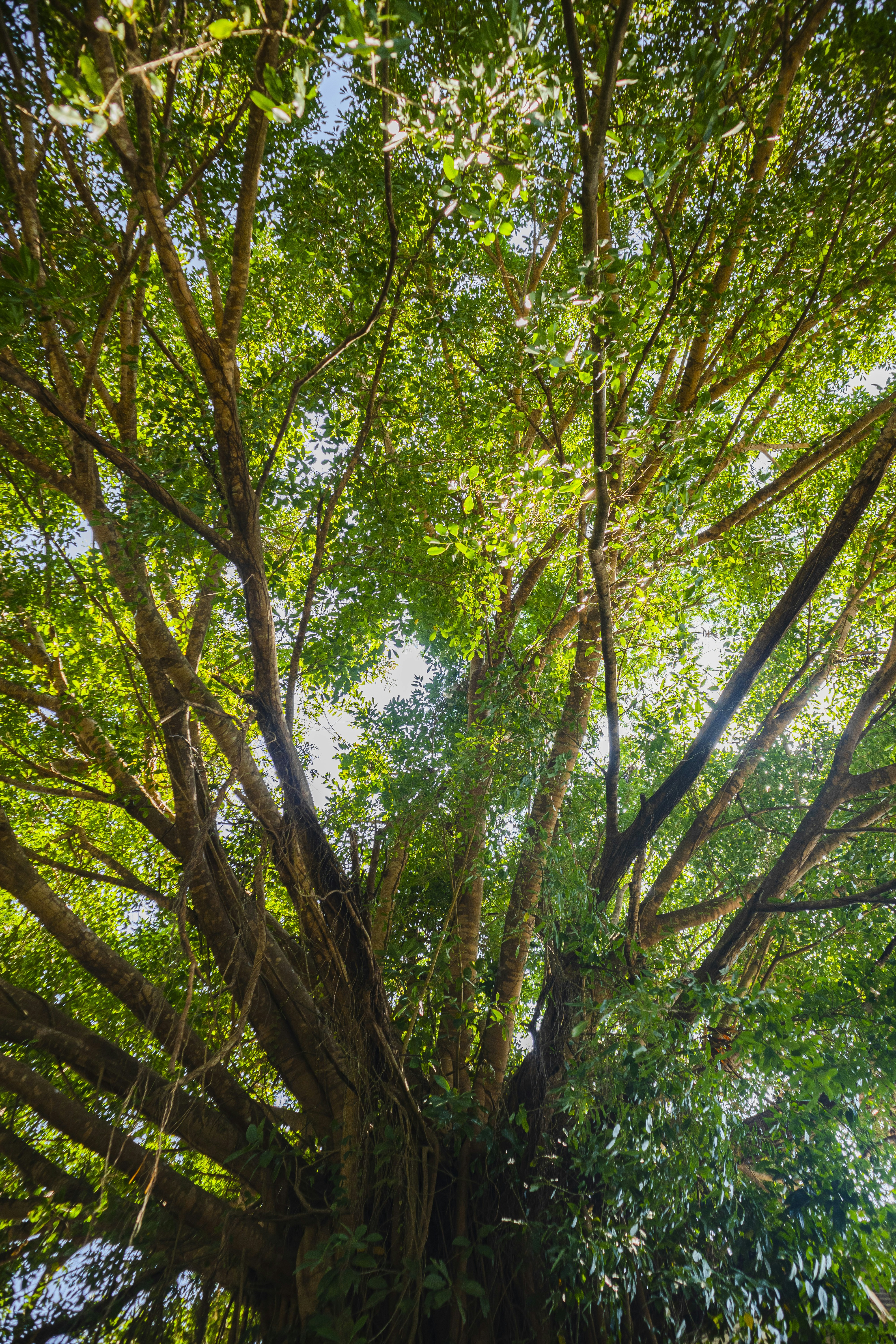 Photo by roadahead_2223