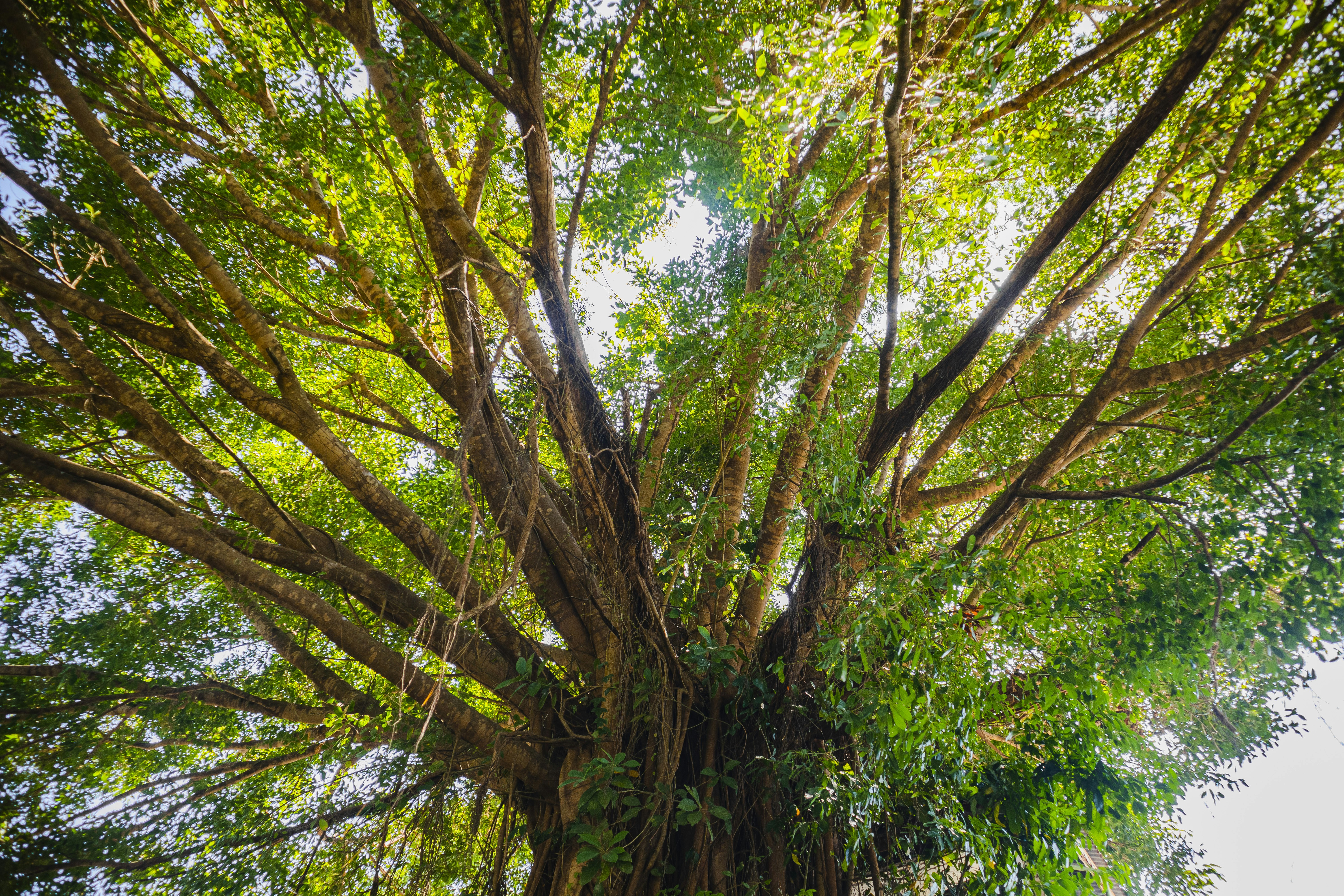 Photo by roadahead_2223