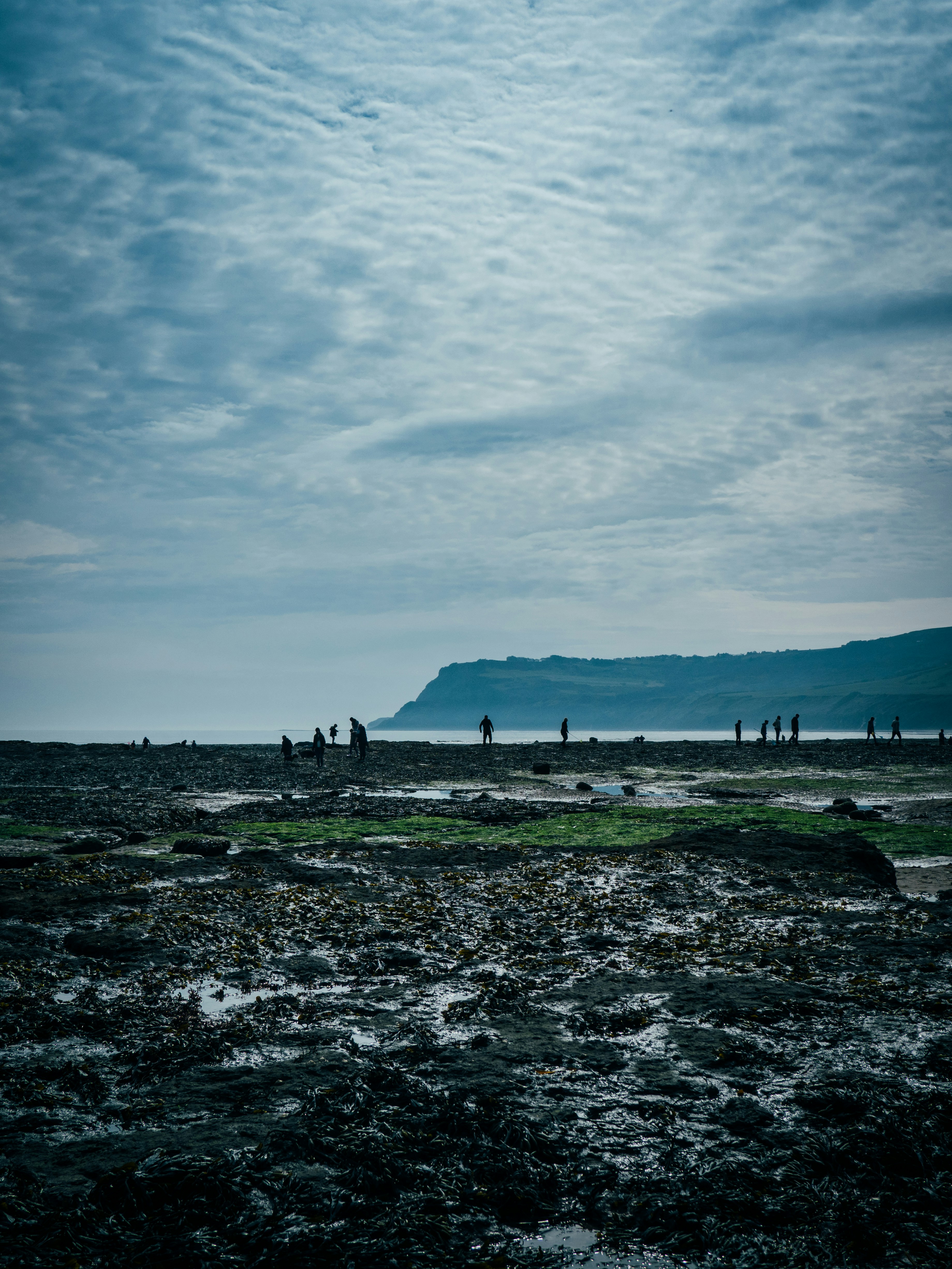 A group of people standing on top of a sandy beach photo – Free Sand ...
