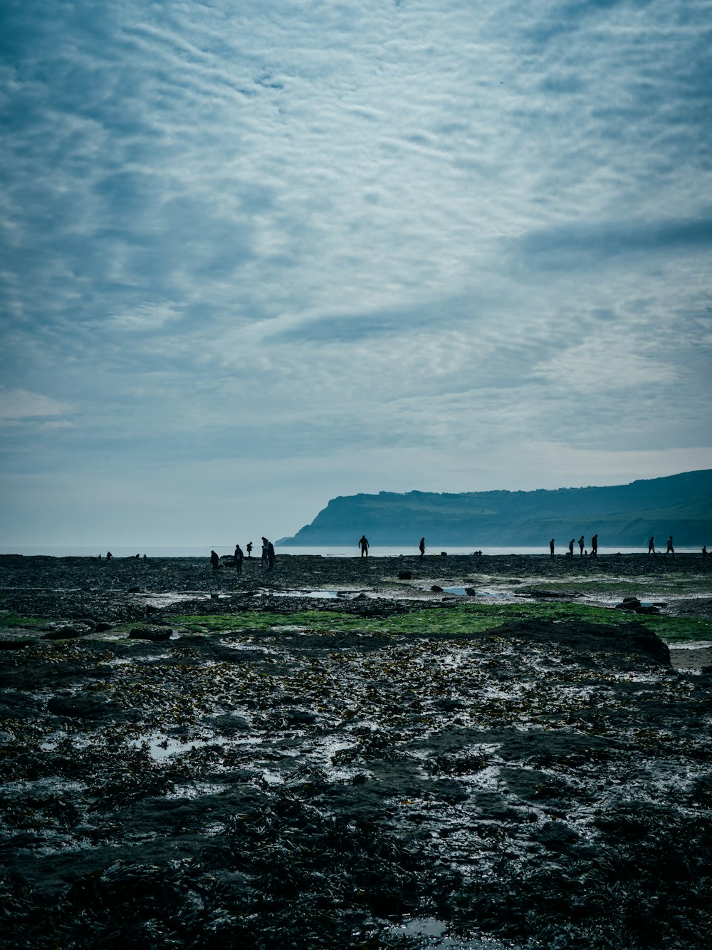 a group of people standing on top of a sandy beach