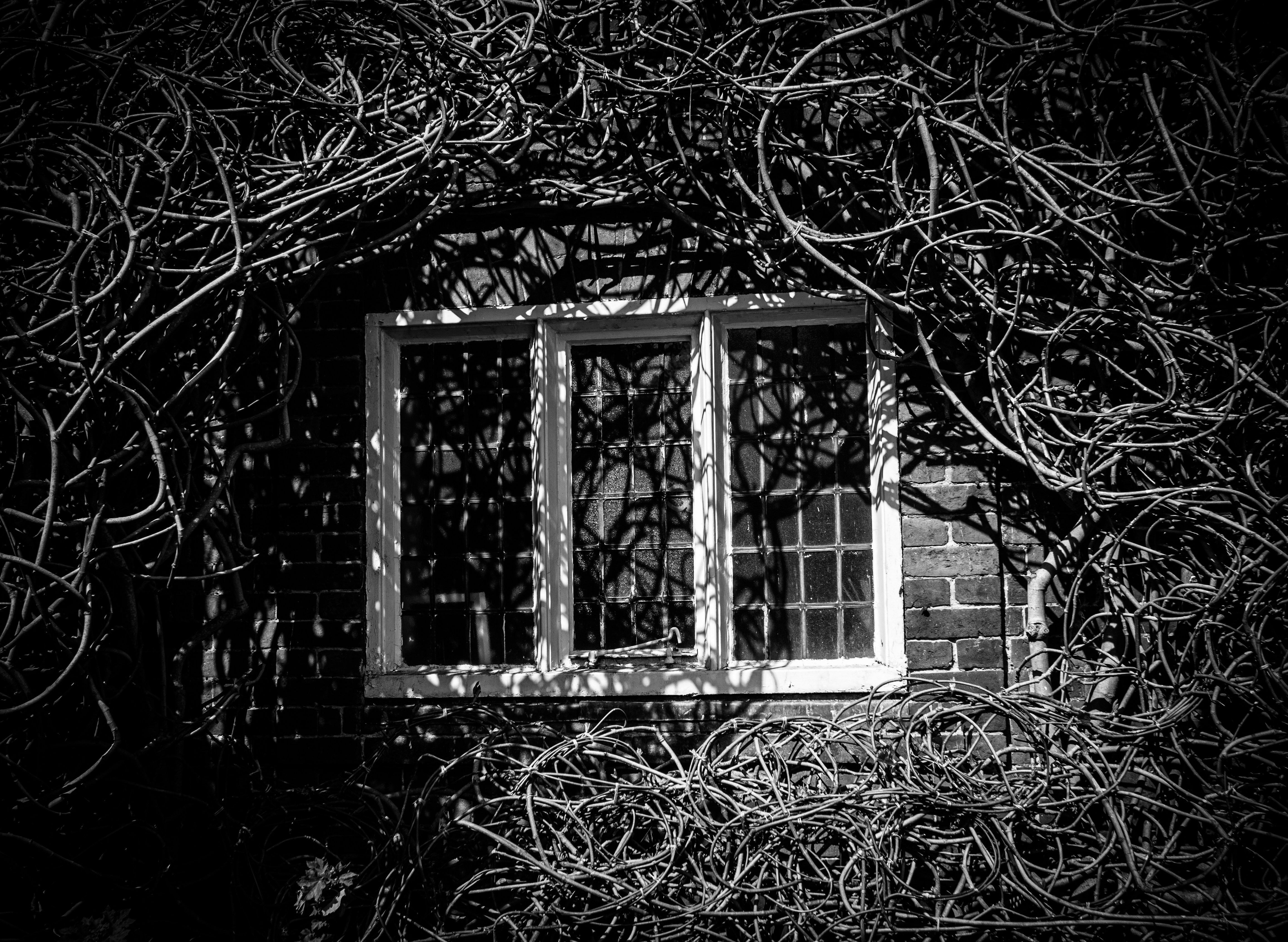 Photo by gregwillson