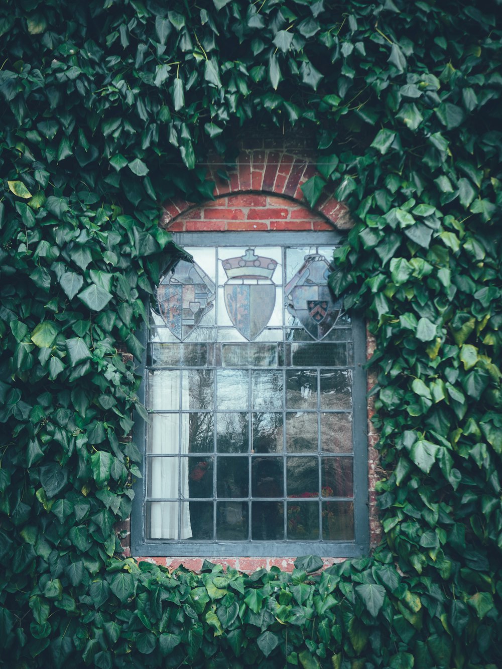 Una ventana en una pared de ladrillo cubierta de hiedra