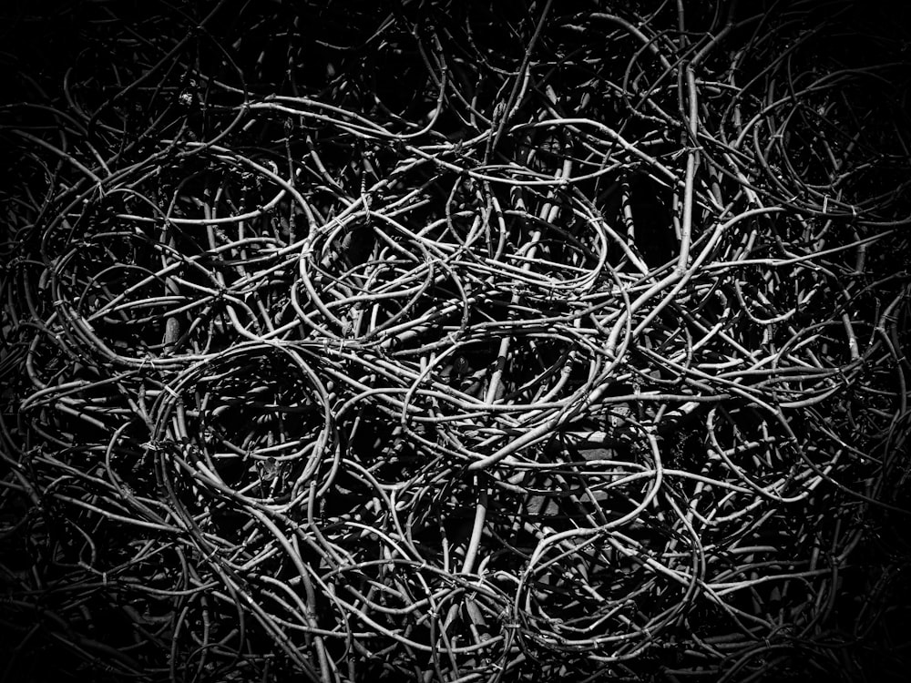 Une photo en noir et blanc d’un tas de fils