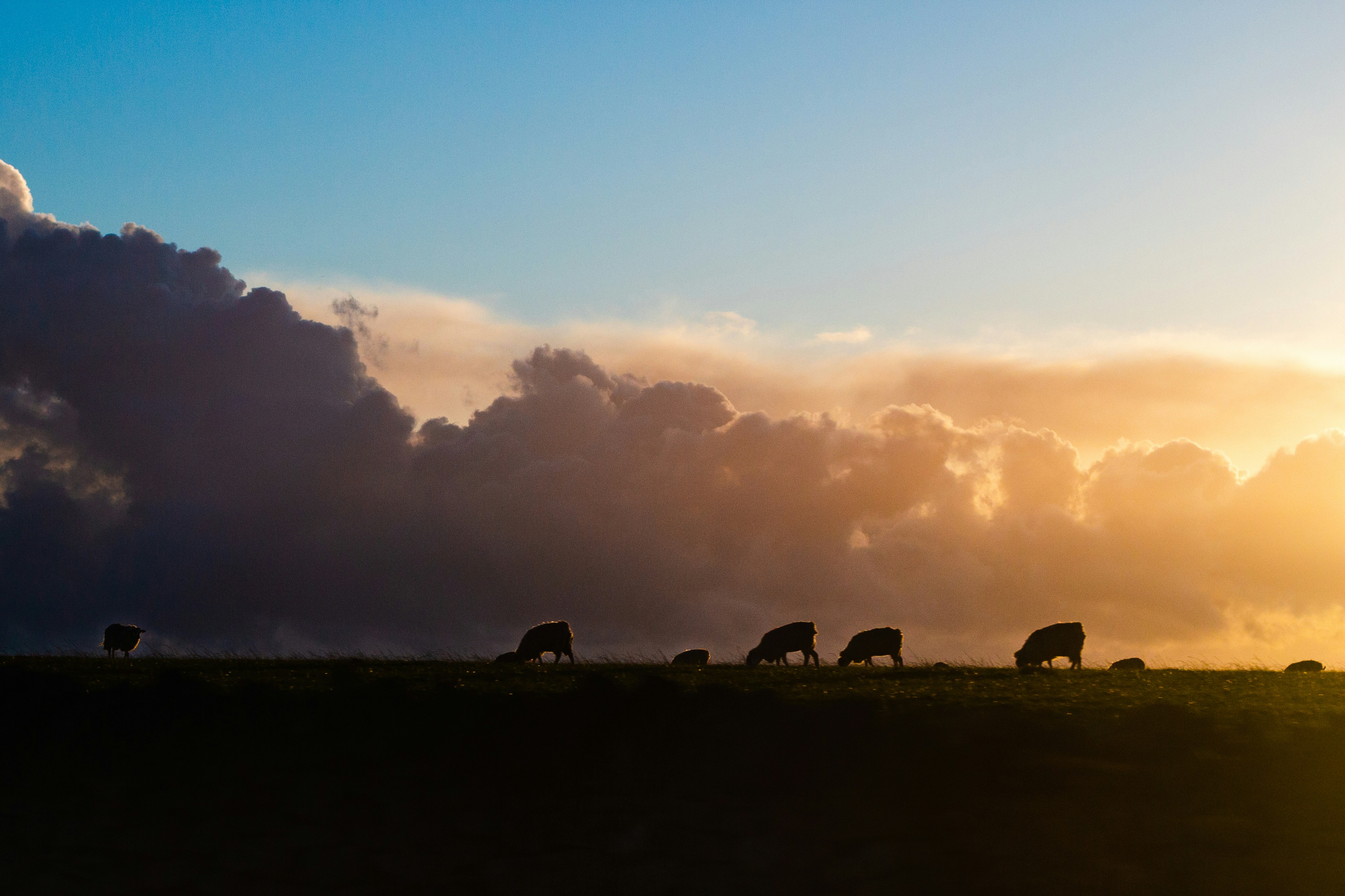 Photo by reubenchallinor