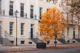 Elegant townhouse with a front patio and mature trees