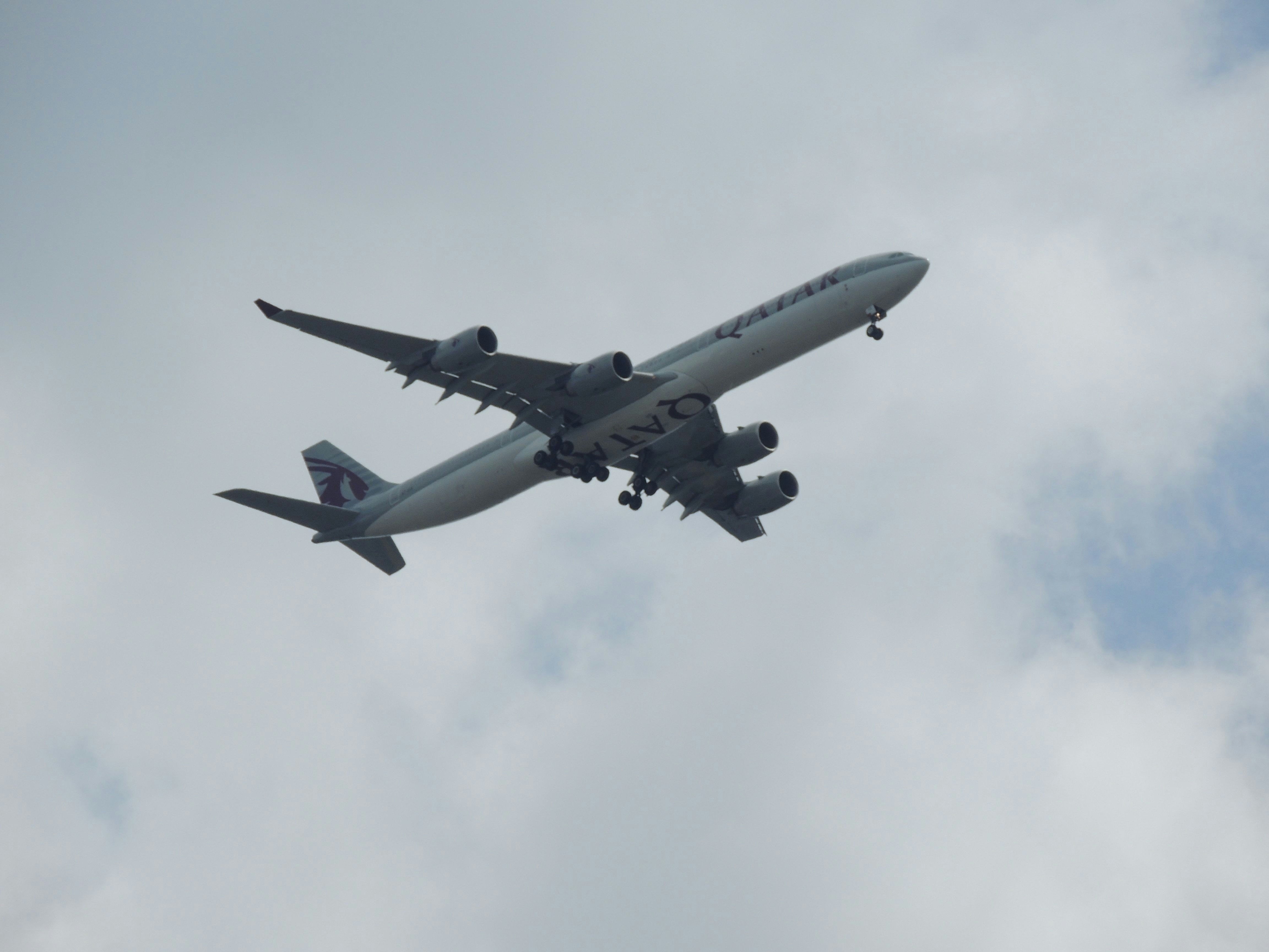 a large jetliner flying through a cloudy sky, Qatar jet taking off from London Heathrow, taken from Kew Gardens