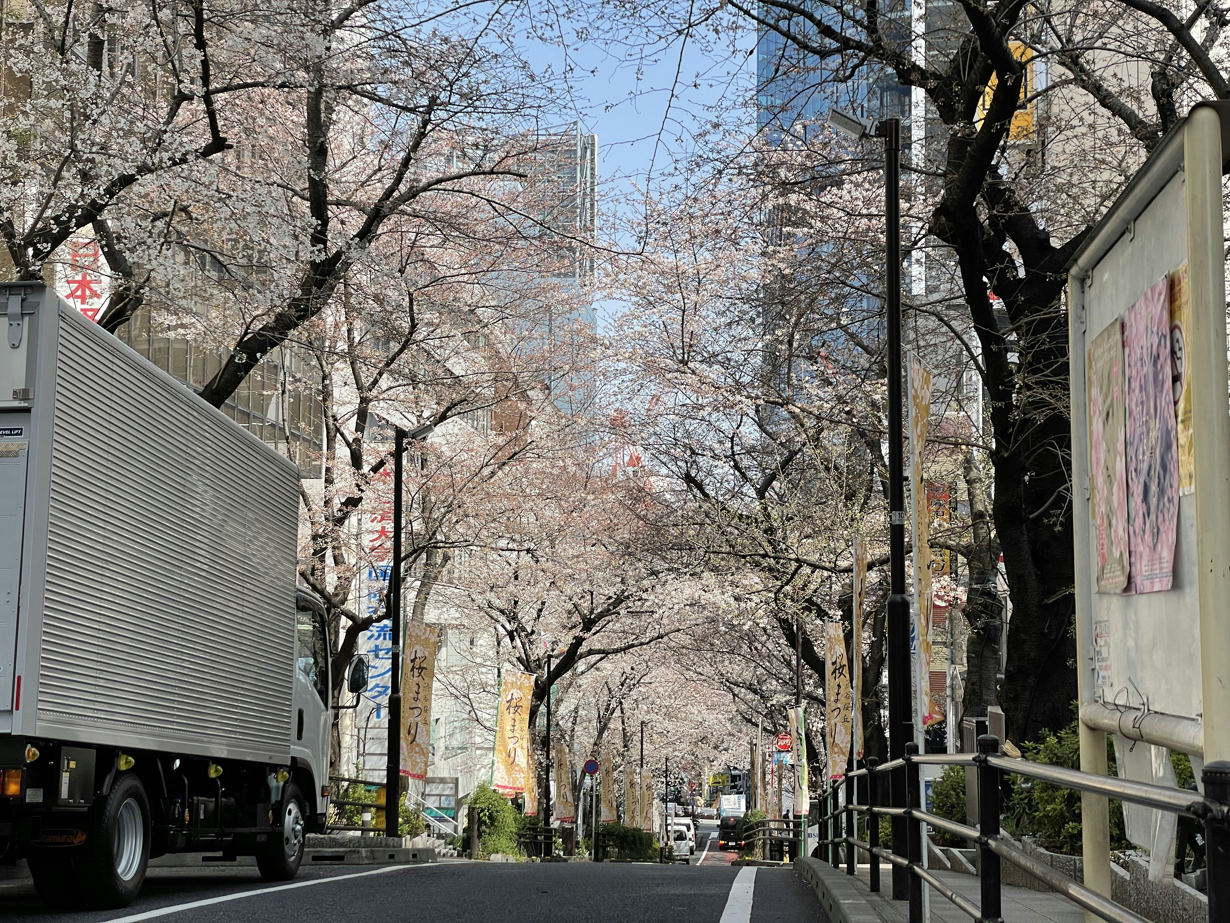 Photo by soudaisasada