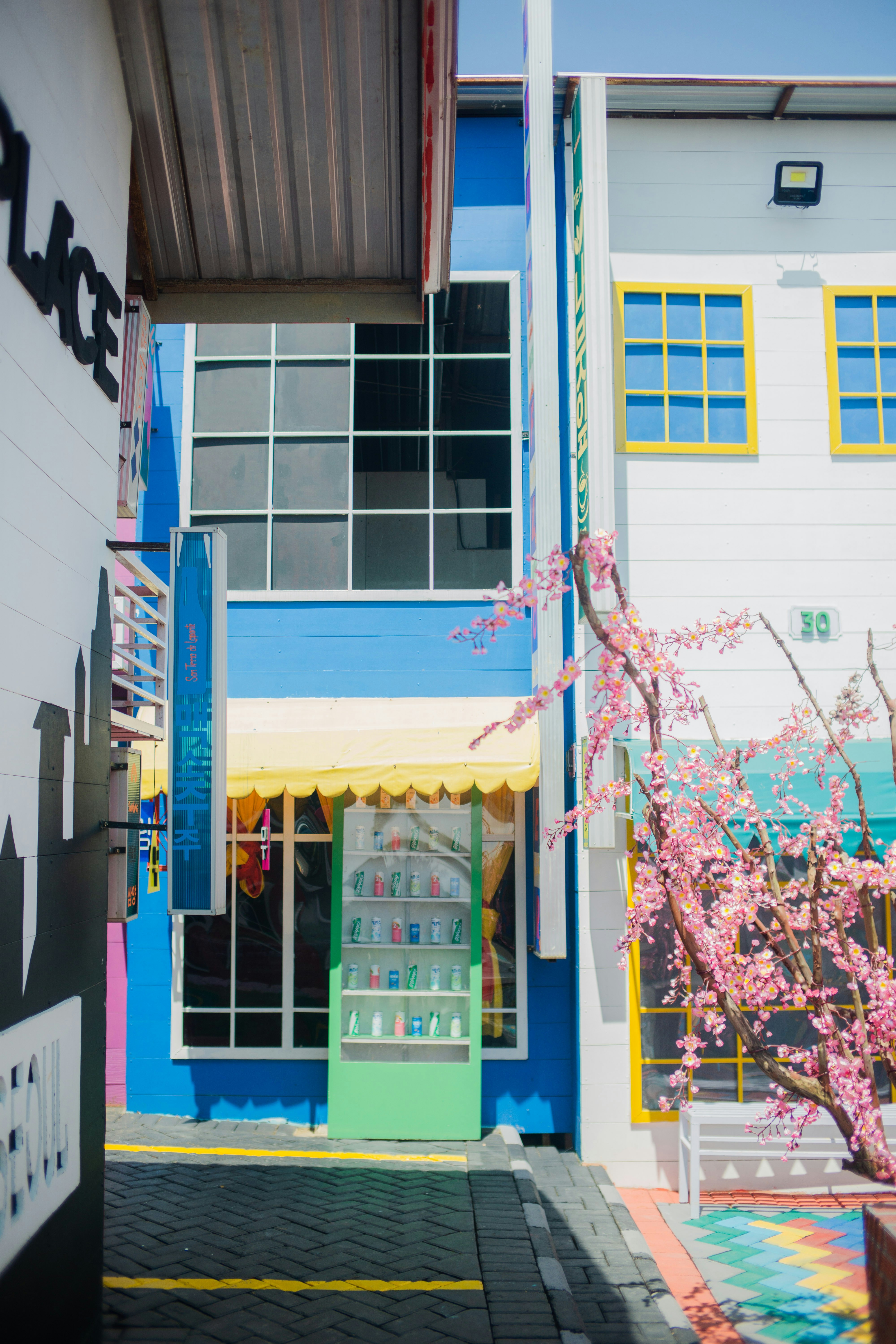 a colorful building with a tree in front of it