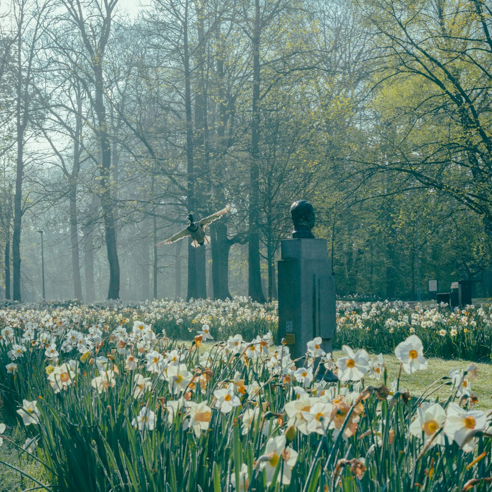 a cemetery with a statue in the middle of a field of daffodils