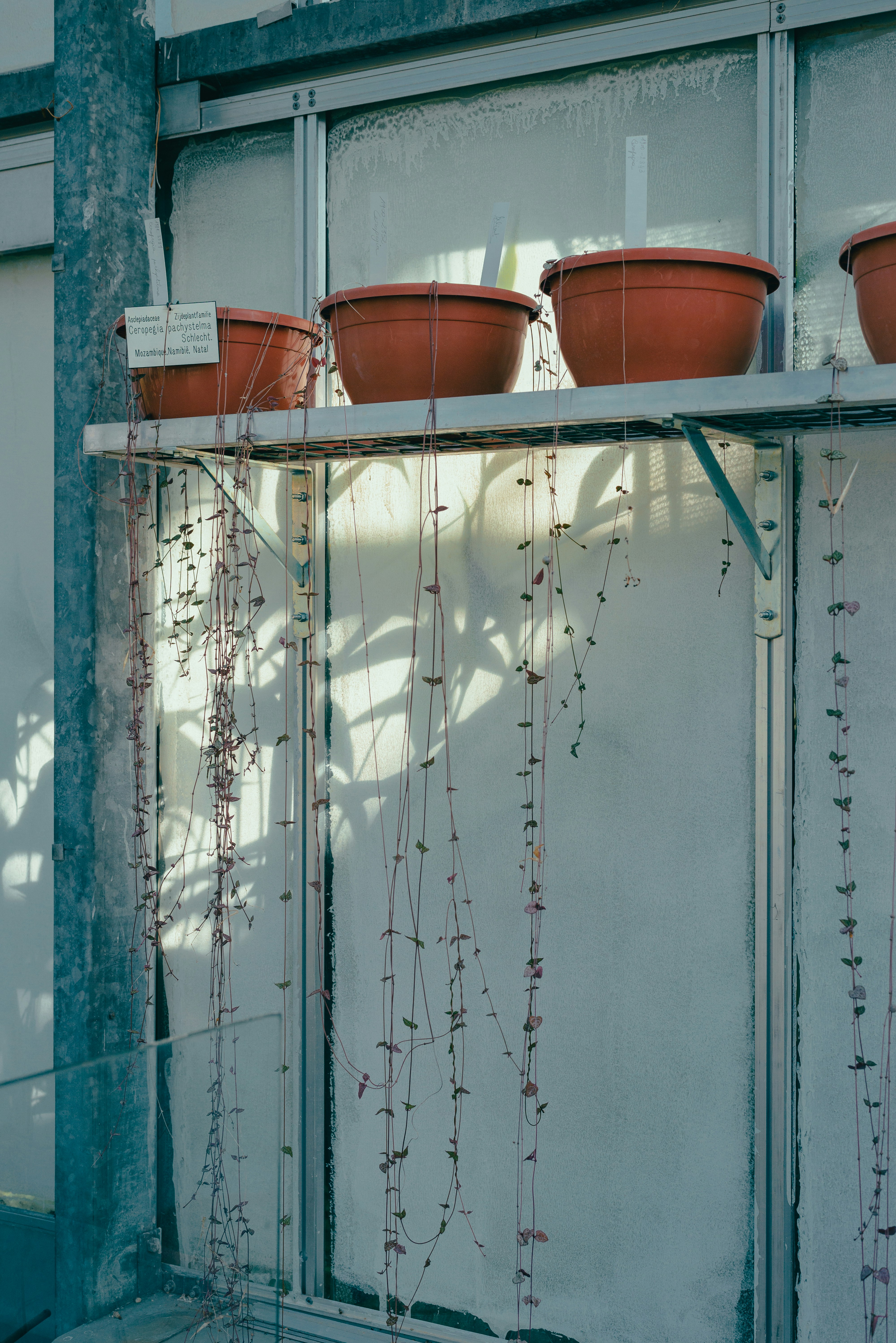 Photo by ricovandevoorde