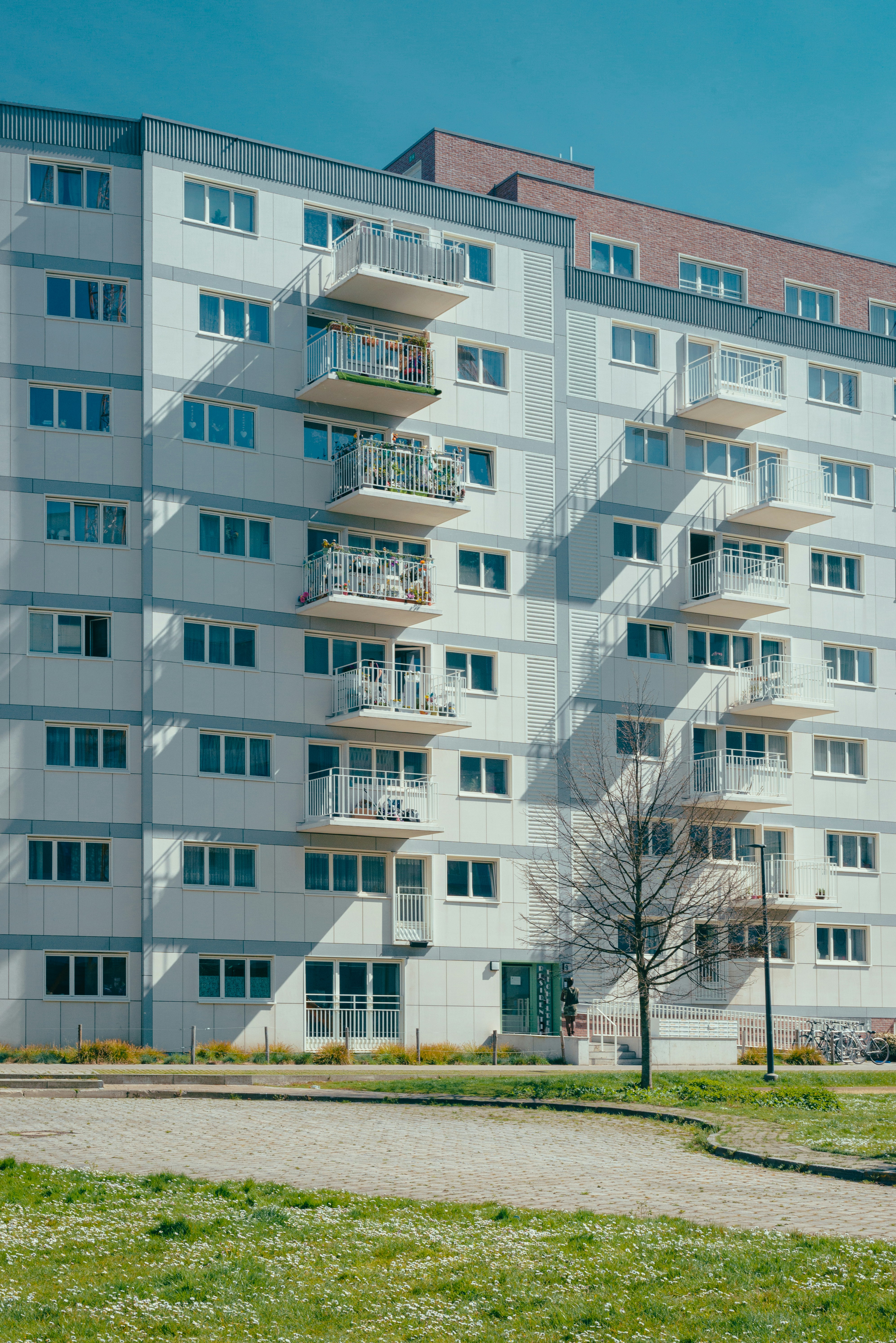 Photo by ricovandevoorde