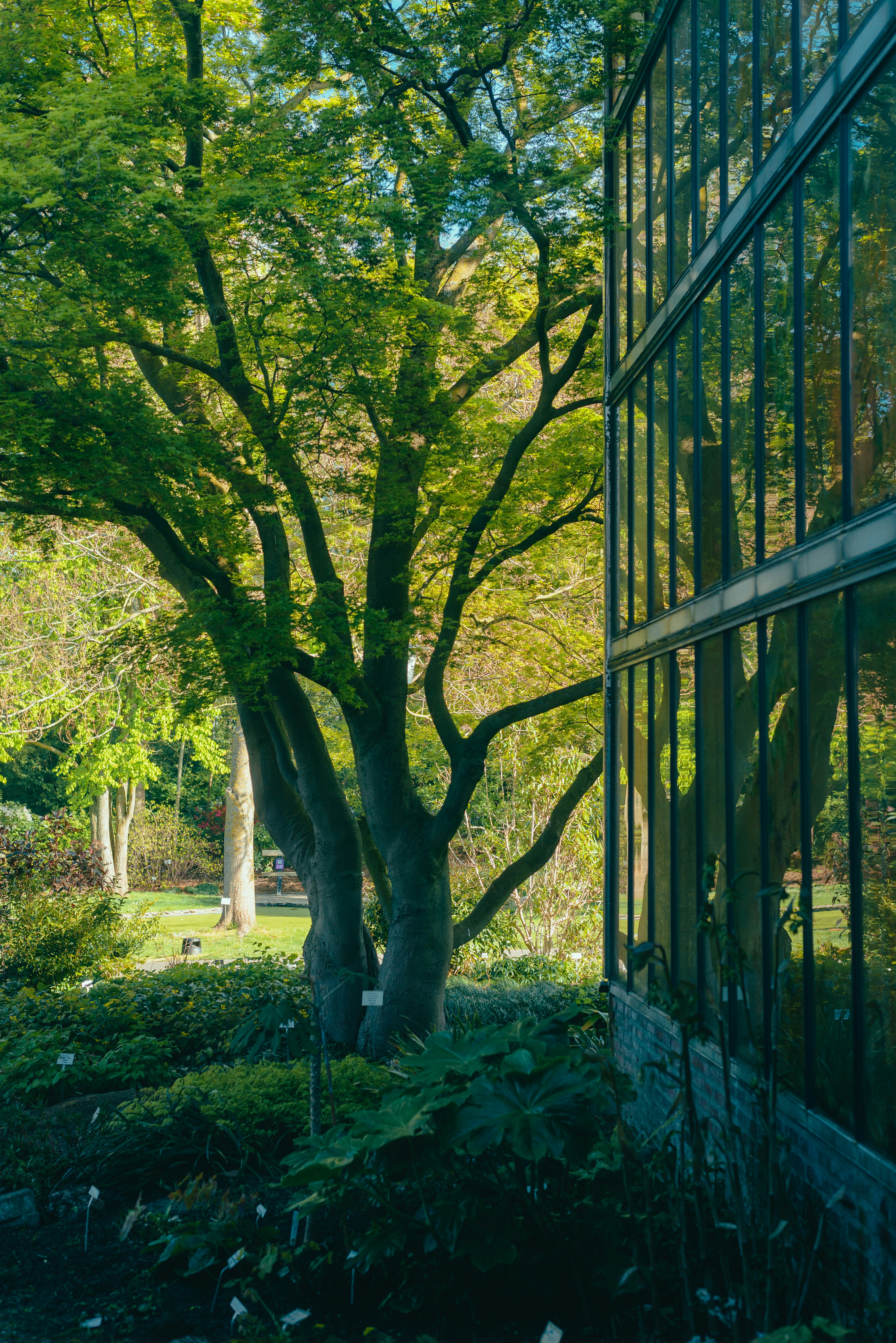 Photo by ricovandevoorde